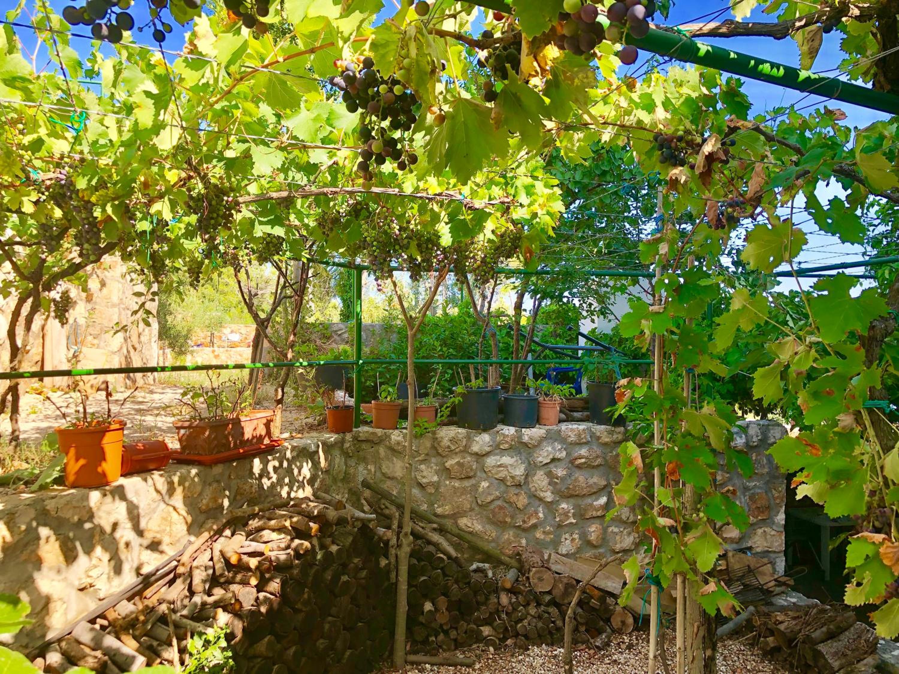 Villa Dinastija view 4