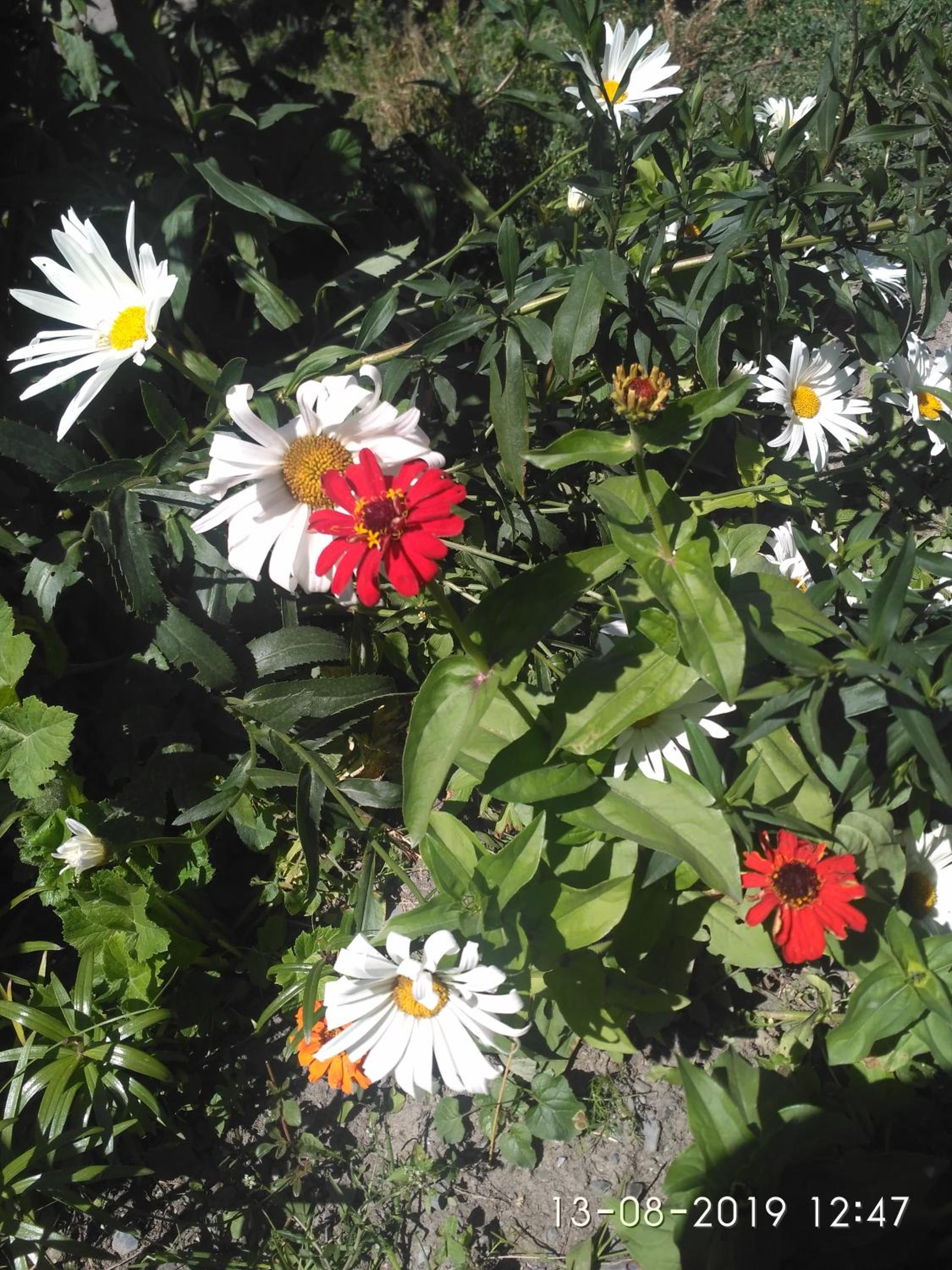 Photo 8