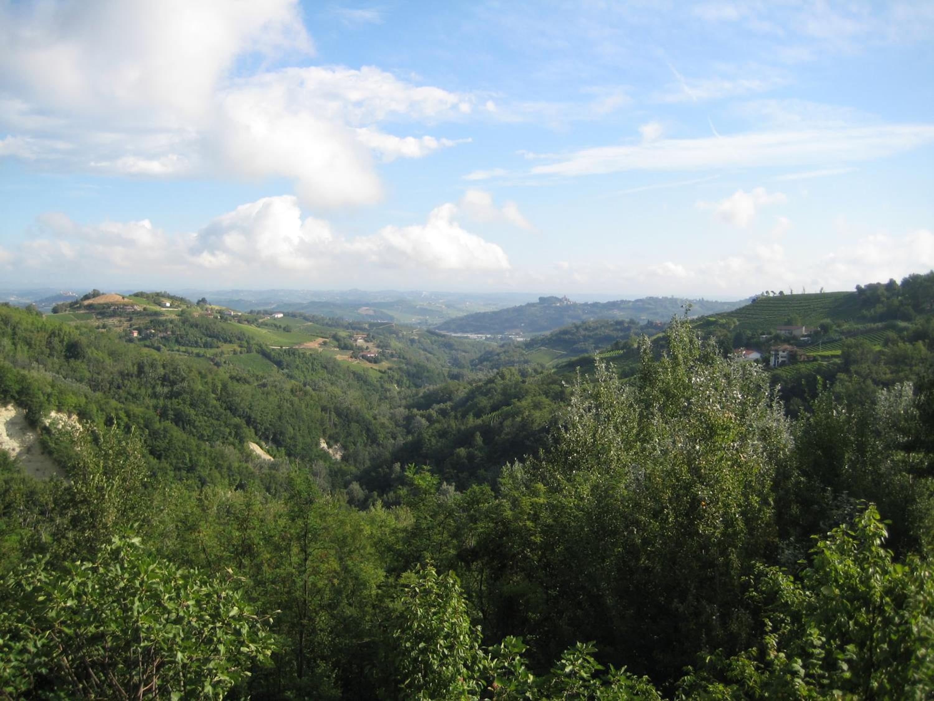 Photo 27