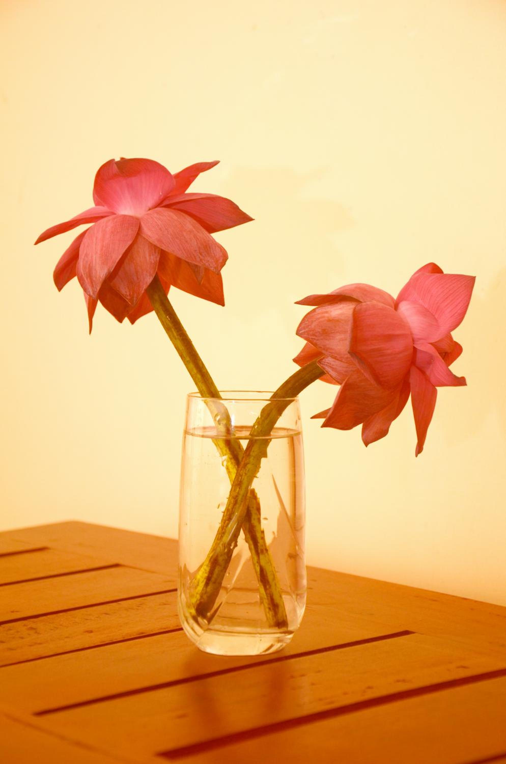 Photo 52