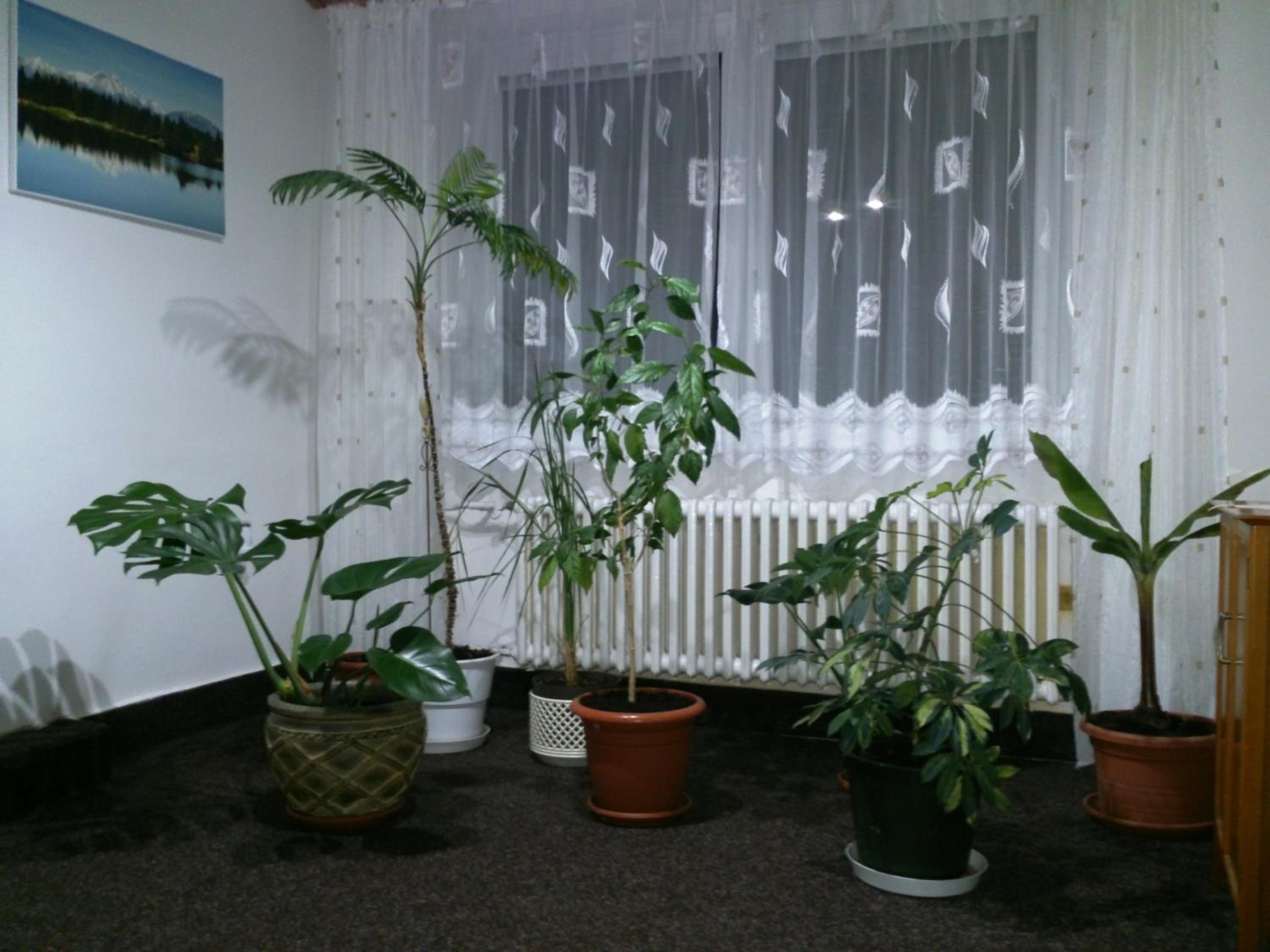 Sunnystreet Guesthouse