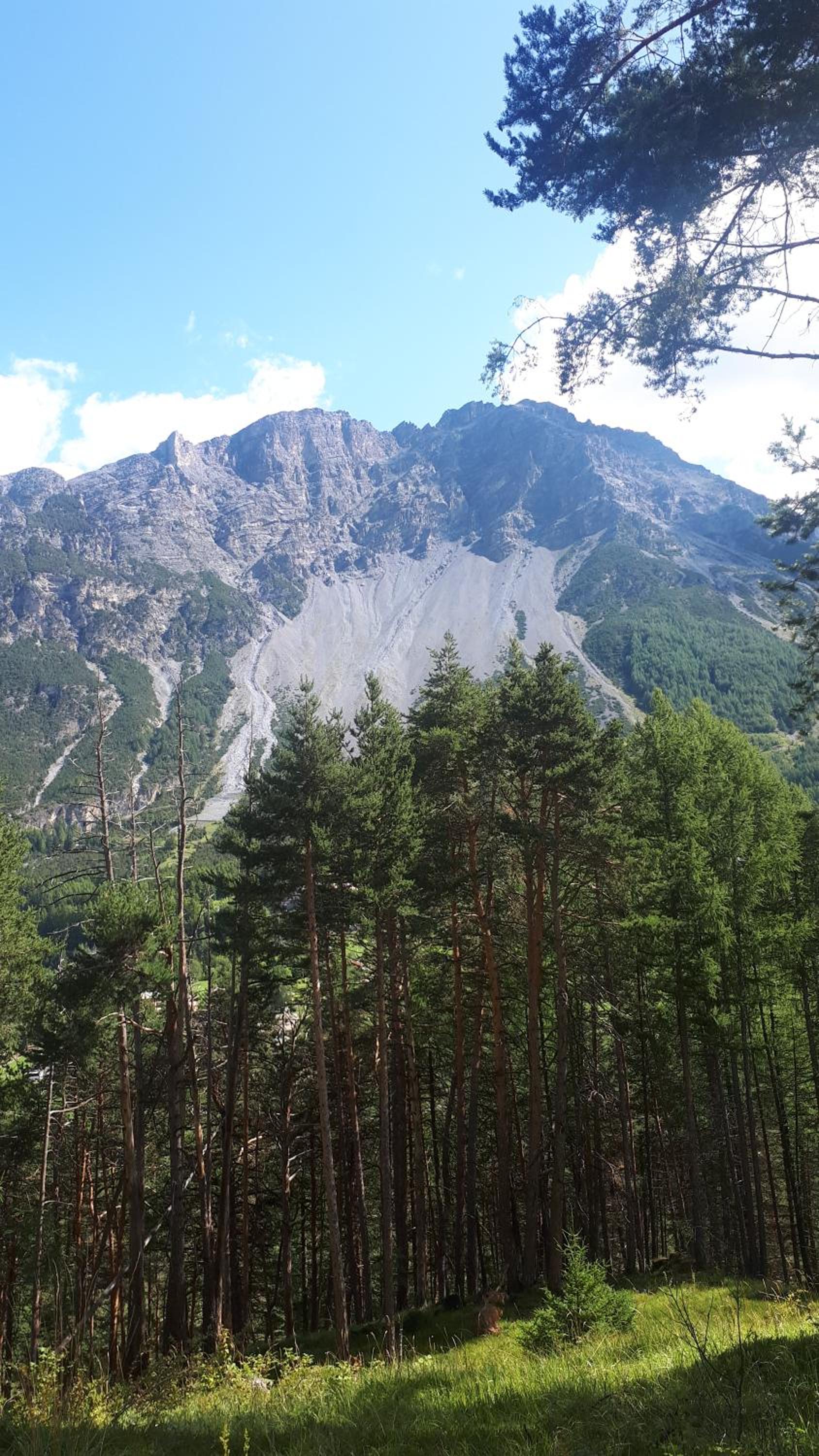 bormio appartamento panoramico