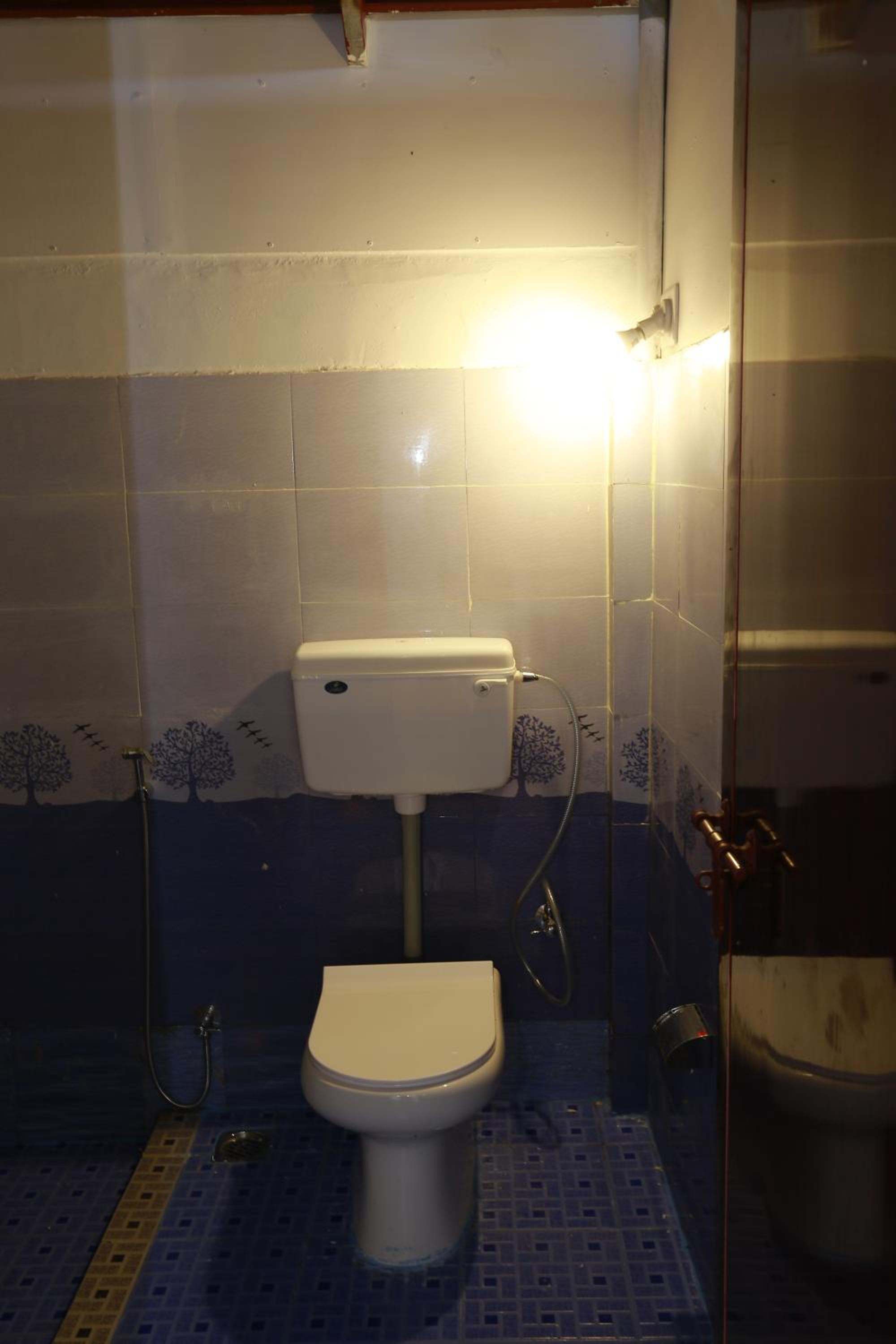 Photo 41