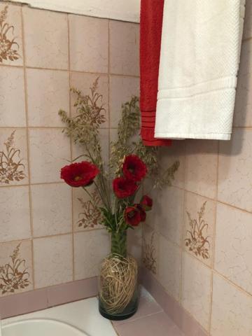 Photo 49
