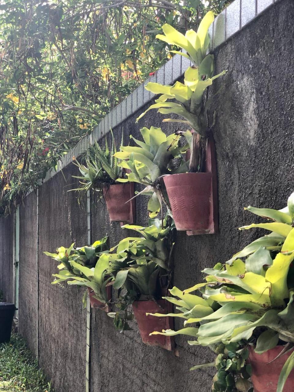 CASA BOUTIQUE MARACA Privativa