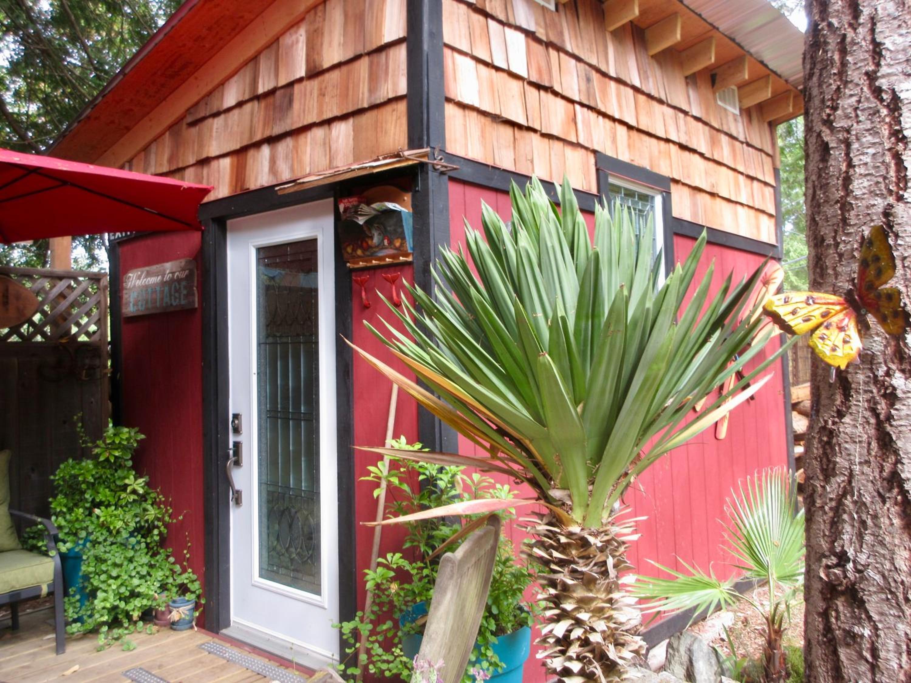 Magnolia Petal - Image 3