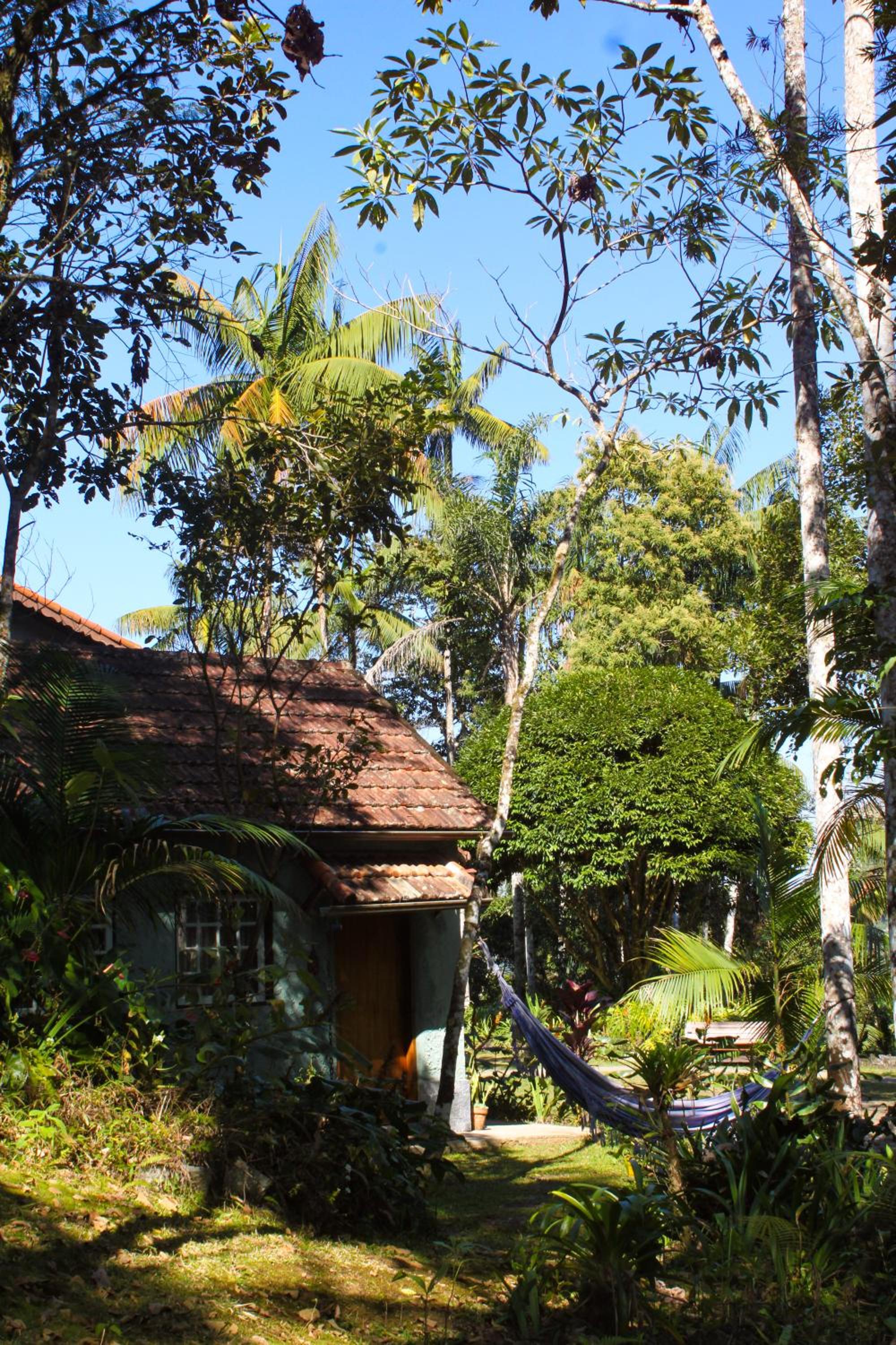 Photo 41