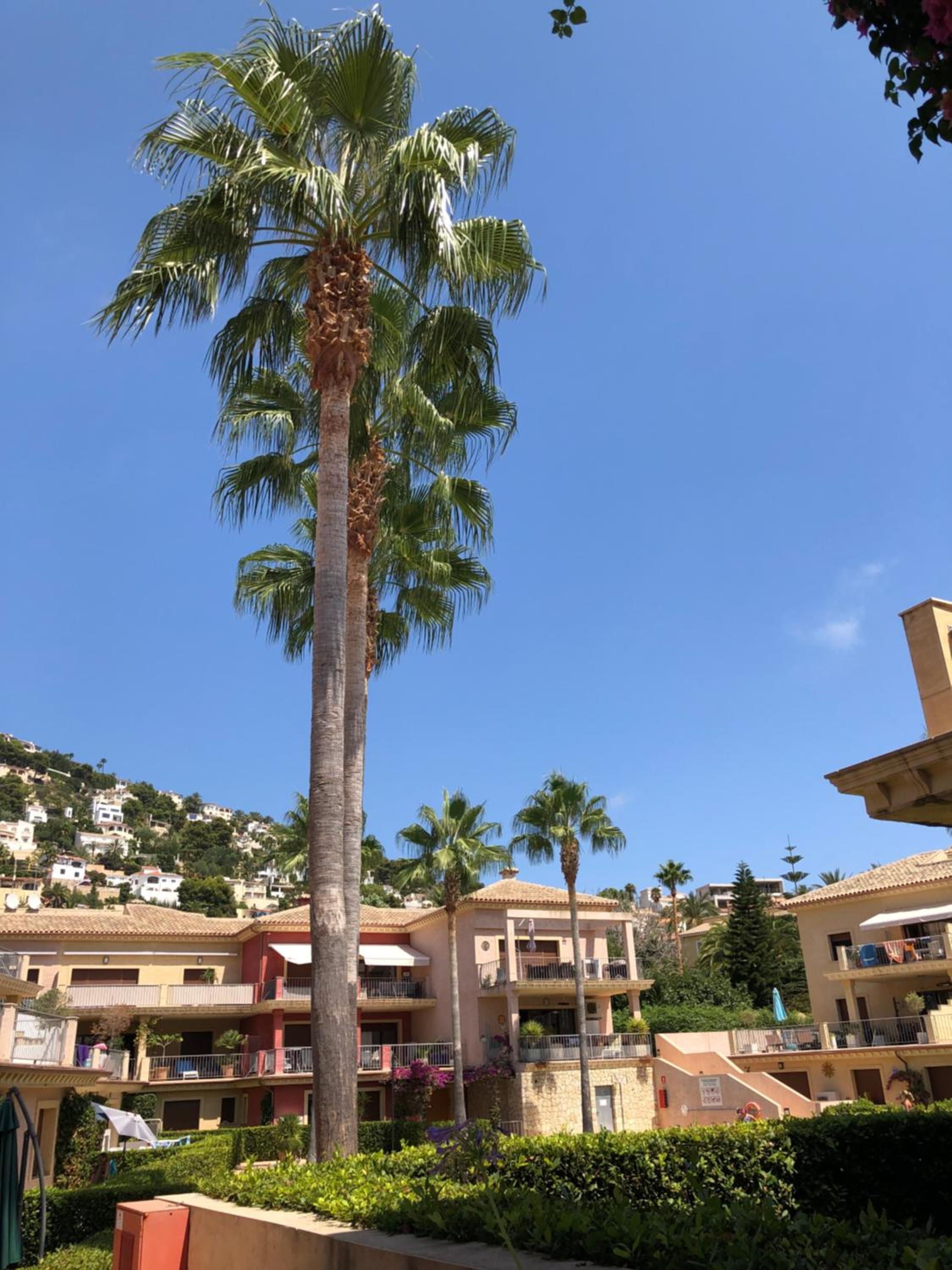 Moraira -Jardines Montemar view 5
