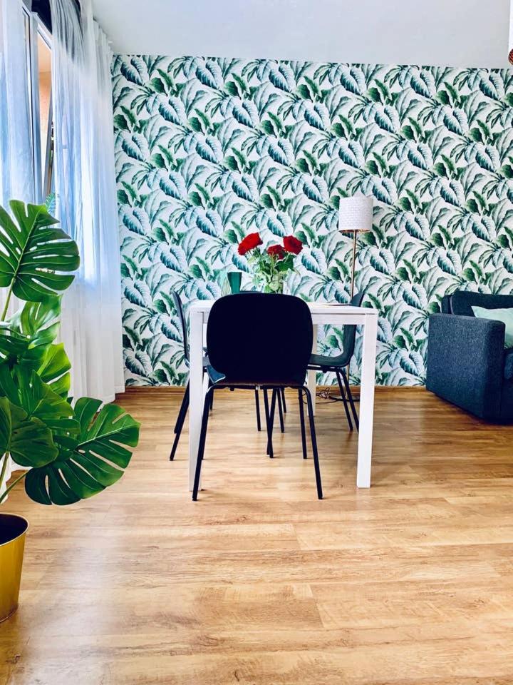 Legnica Apartament 42m2 Delux 4 view 5