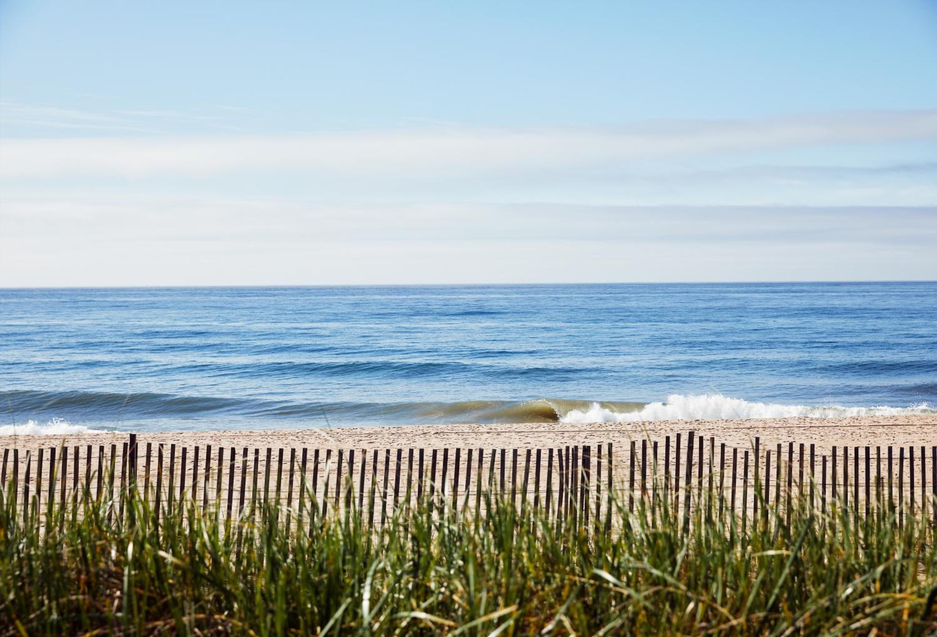 Marram