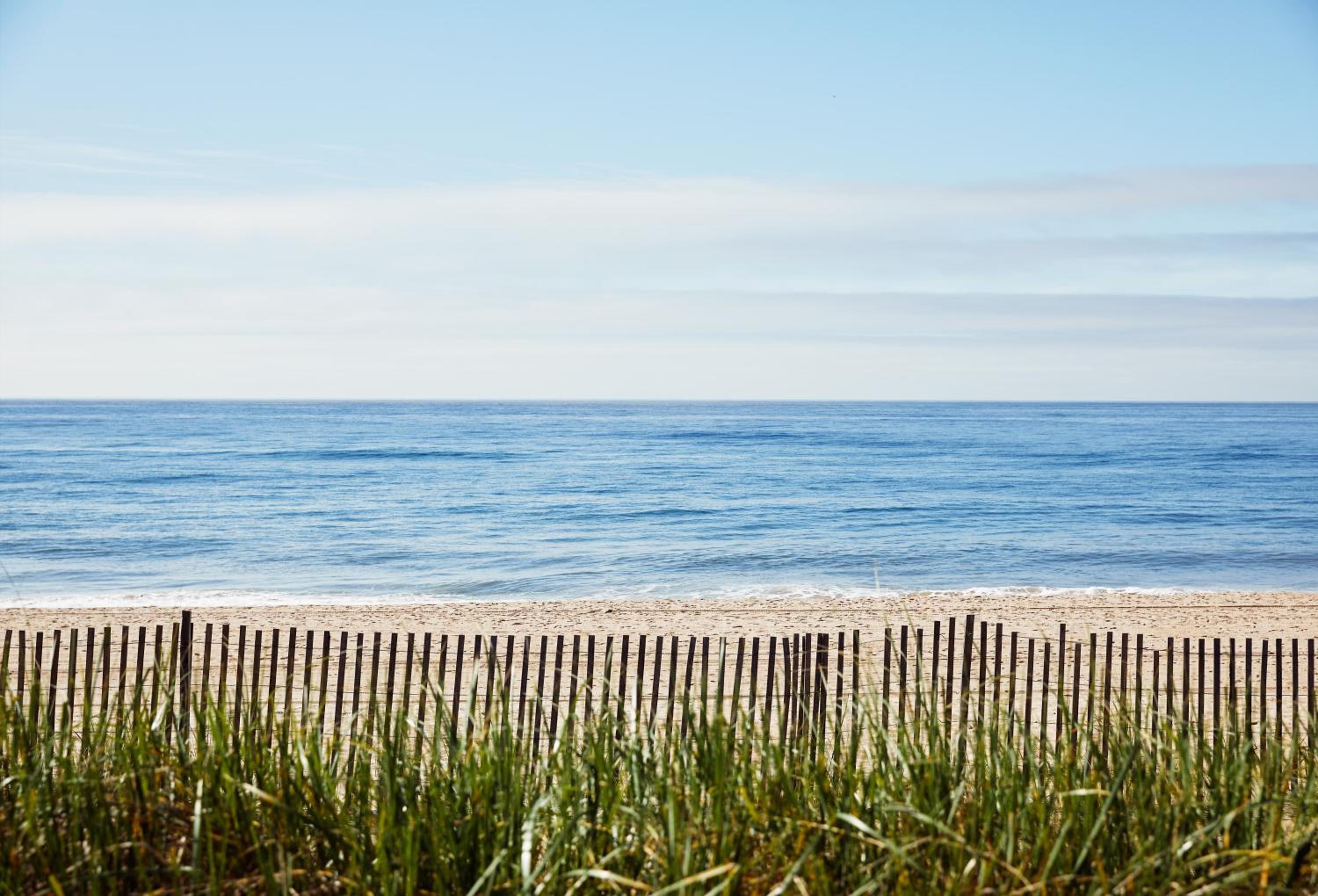 Marram