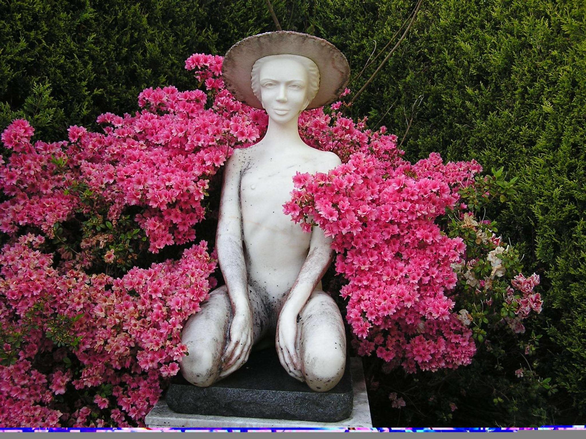 Photo 44