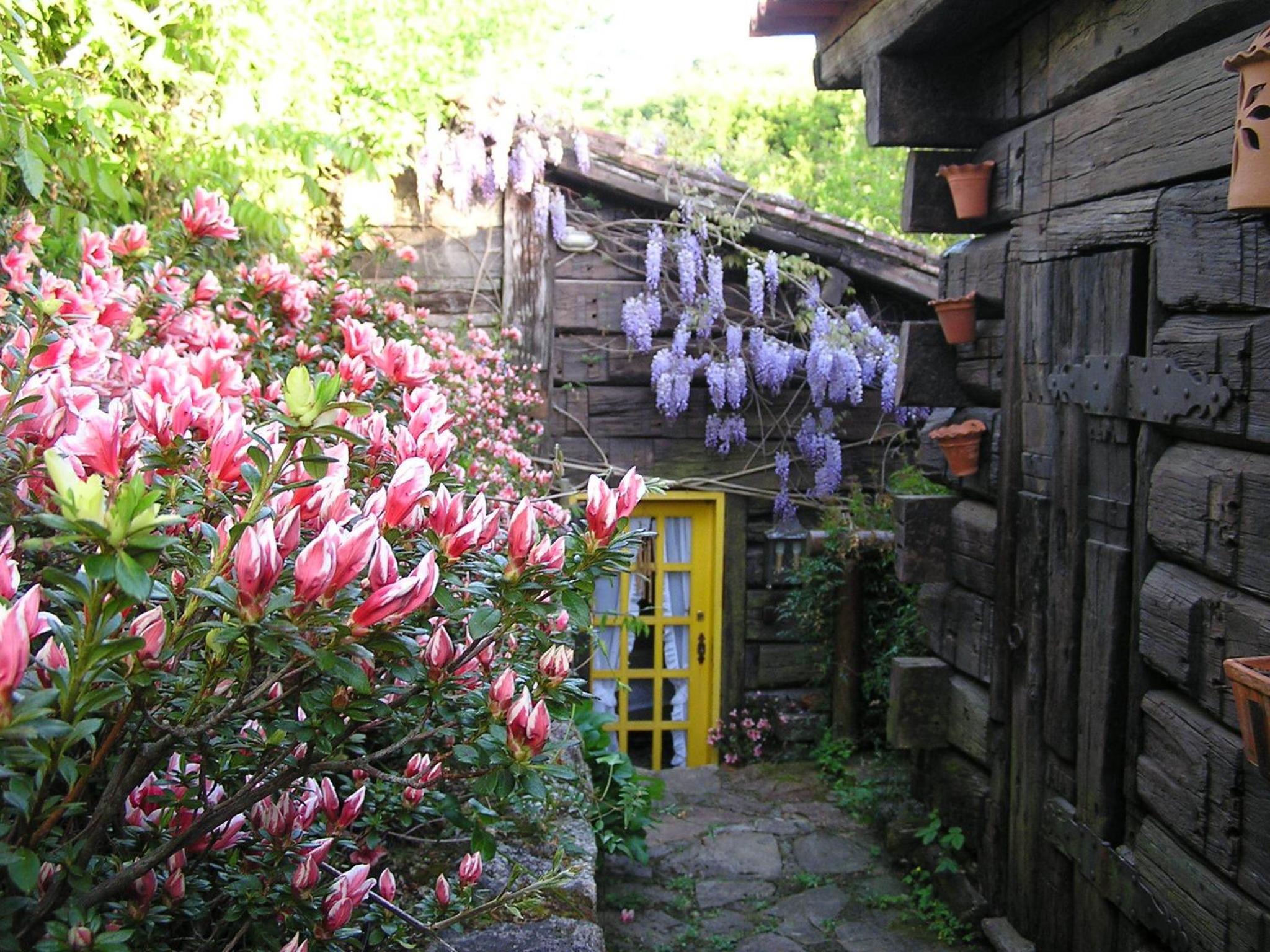 Photo 40