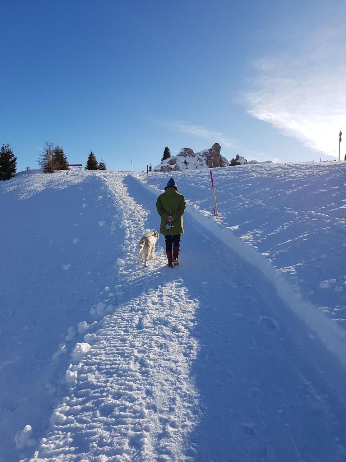 Pension Walkerbach
