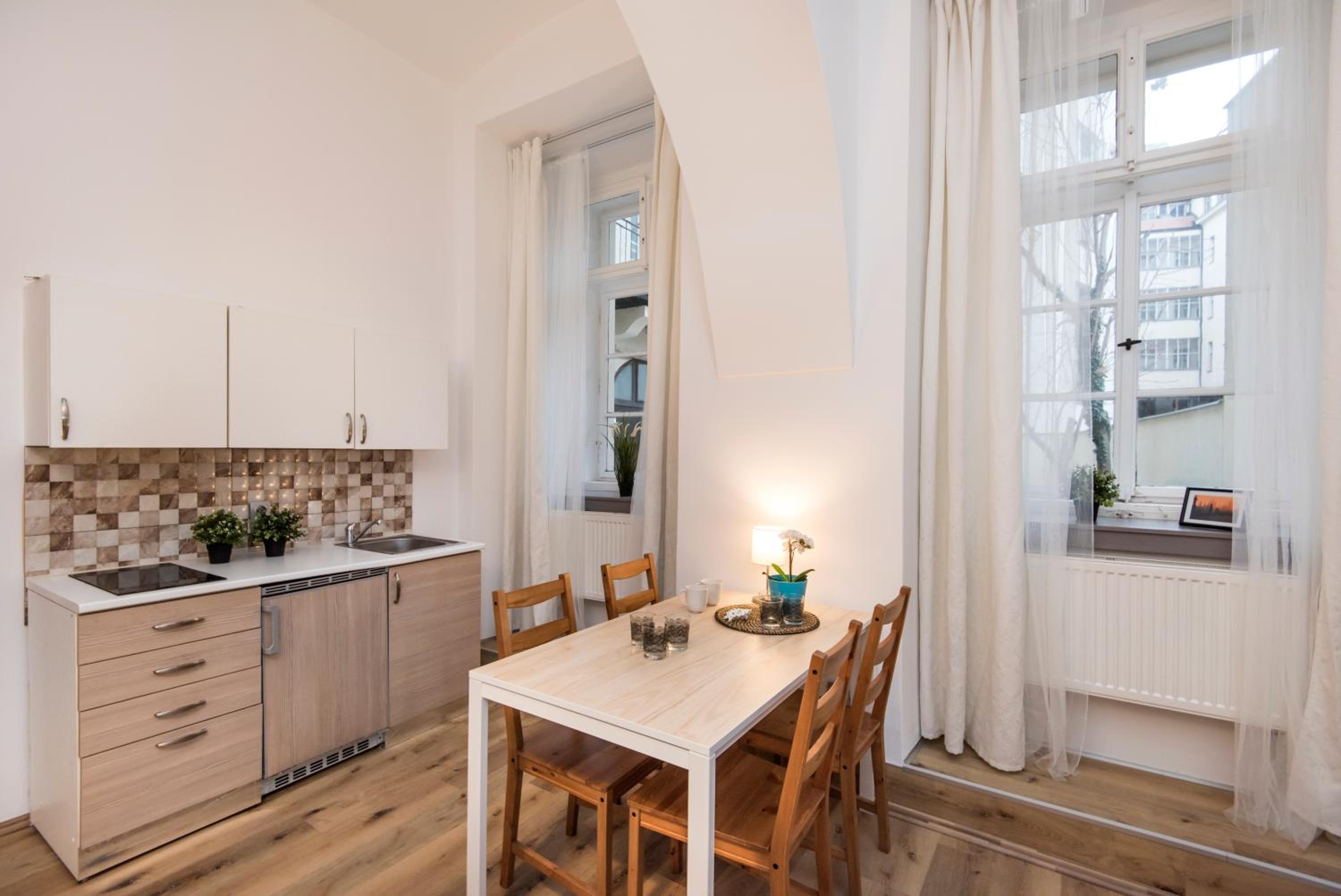 Apartment near Wenceslas Square