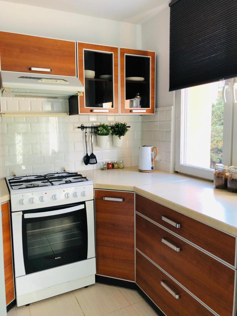 Legnica Apartament 42m2 Delux 4 view 4