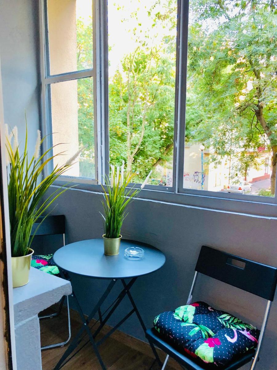 Legnica Apartament 42m2 Delux 4 view 3