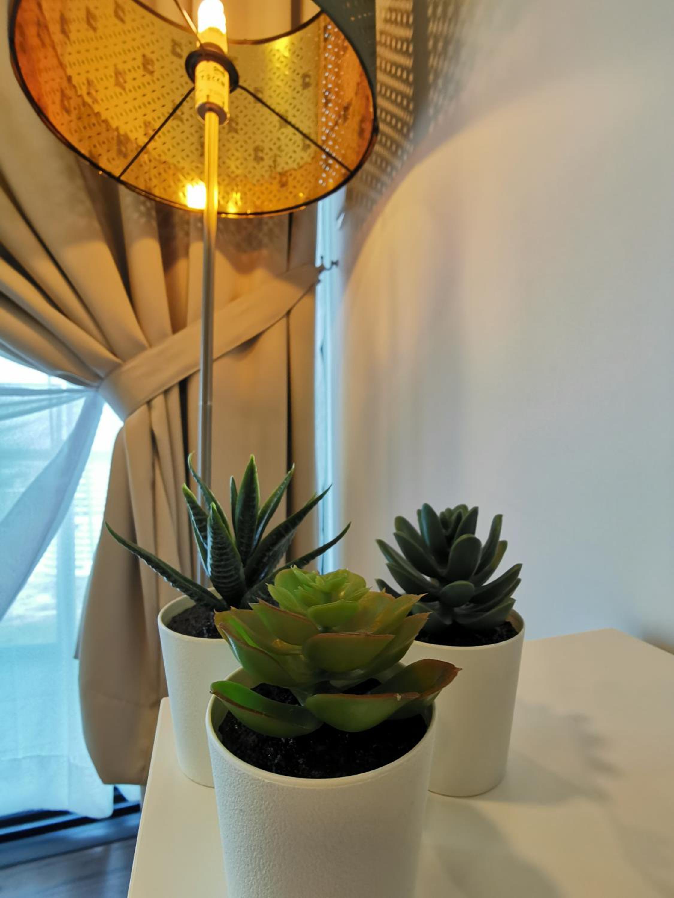 Almas Suites Studio Seaview Netflix By STAY photo 4
