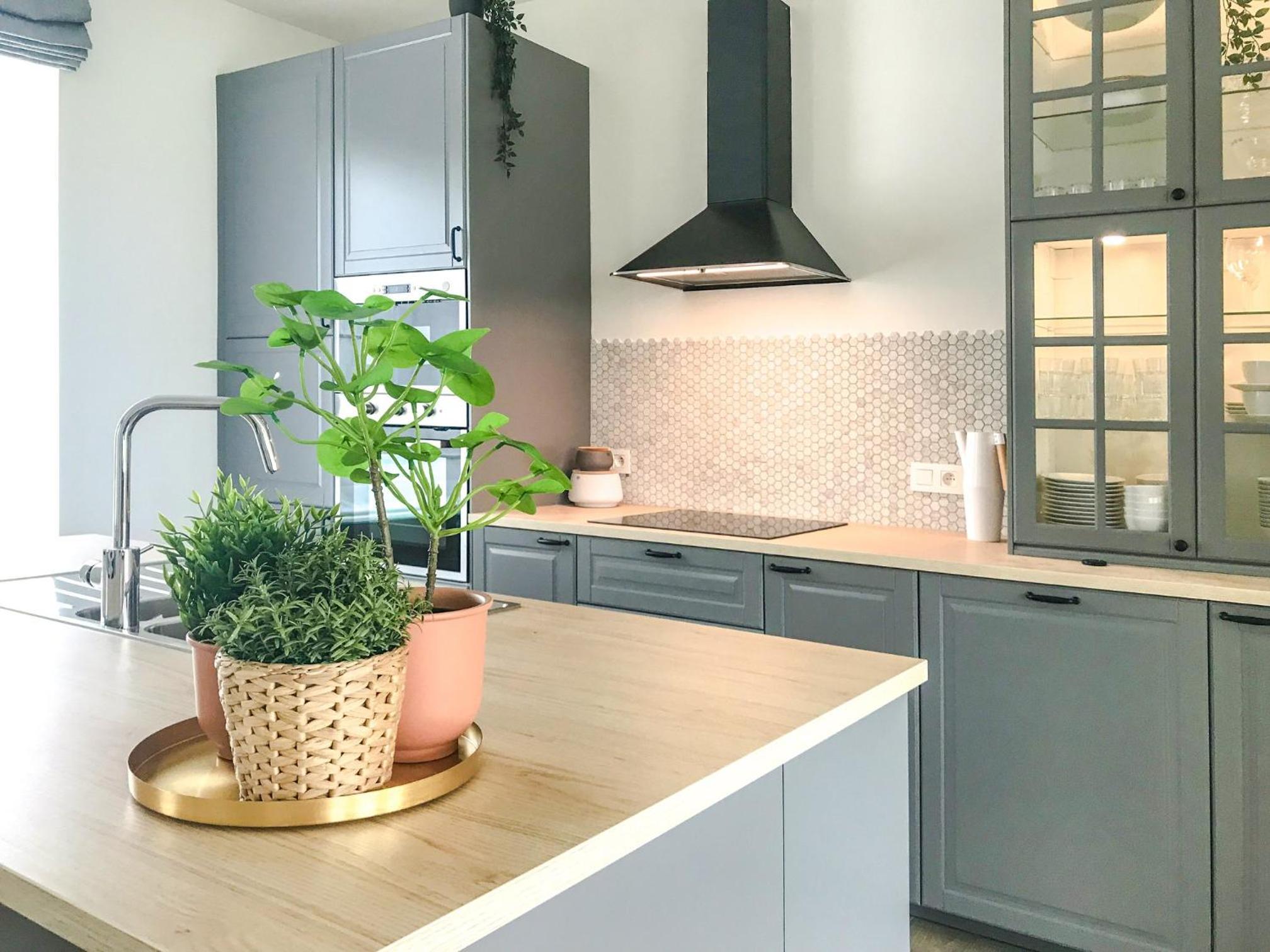 vakantiewoning Het Boomkwekerijhuis