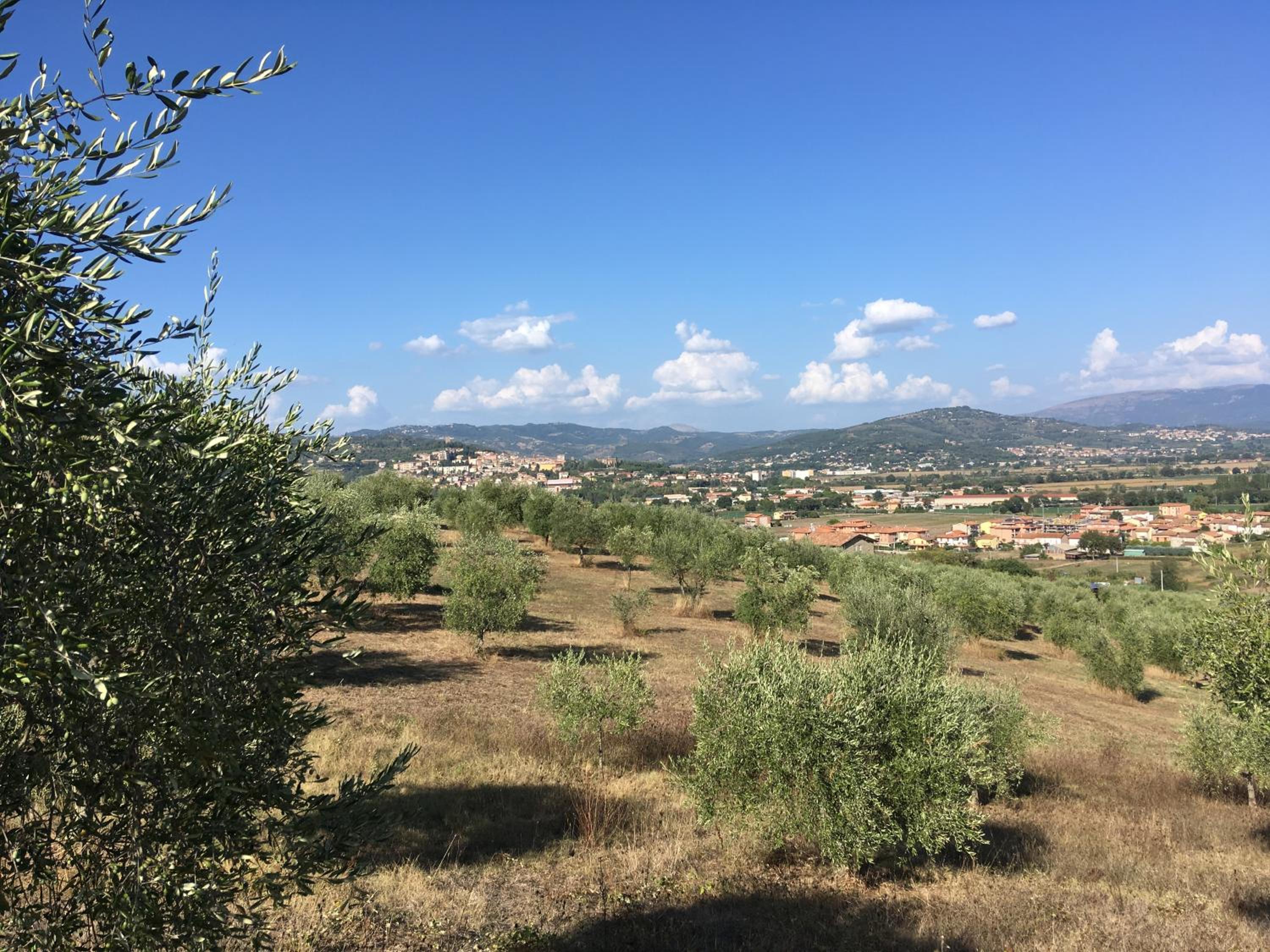 Le Terre Di Isa