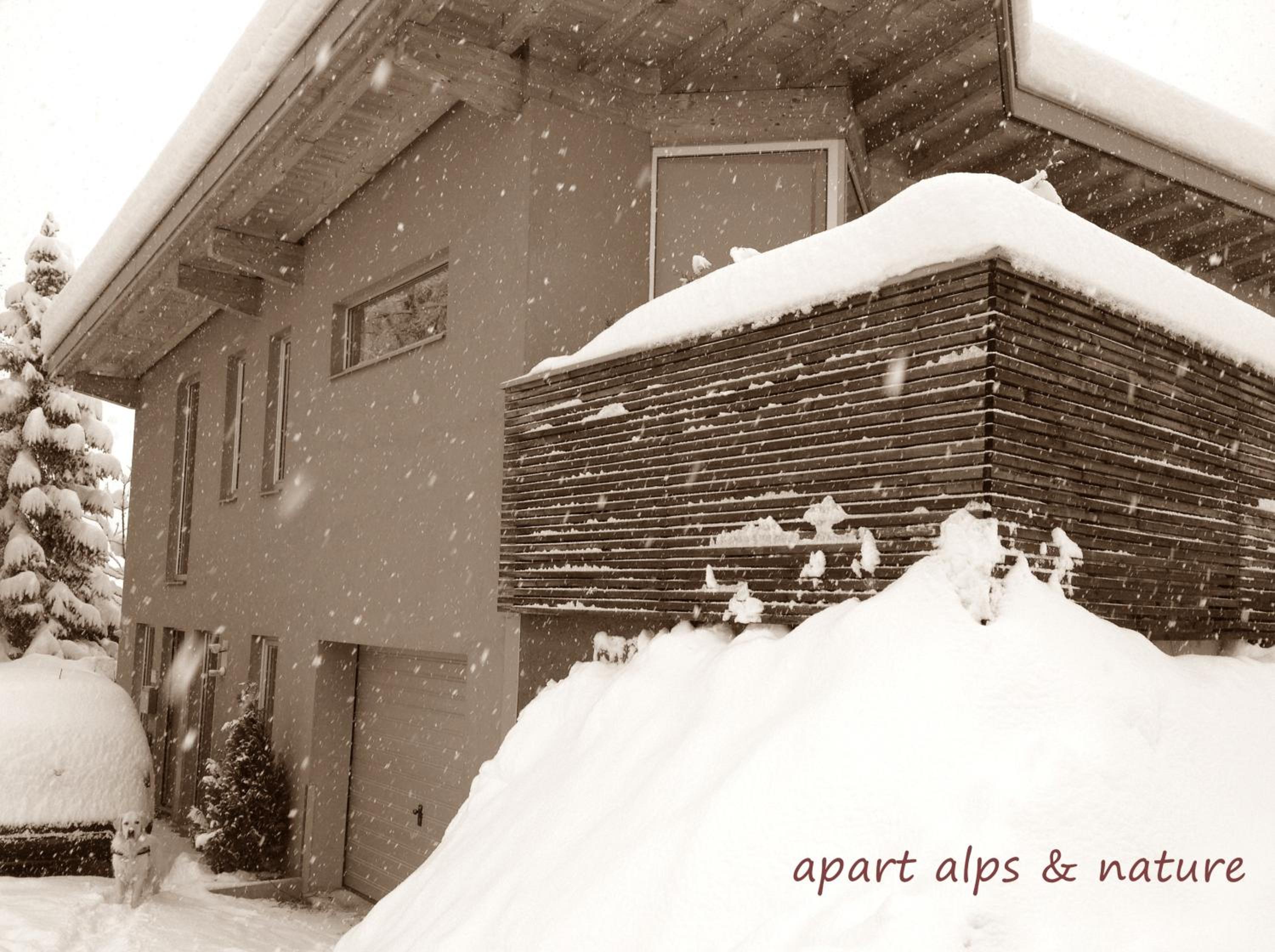 Apart Alps & Nature view 2