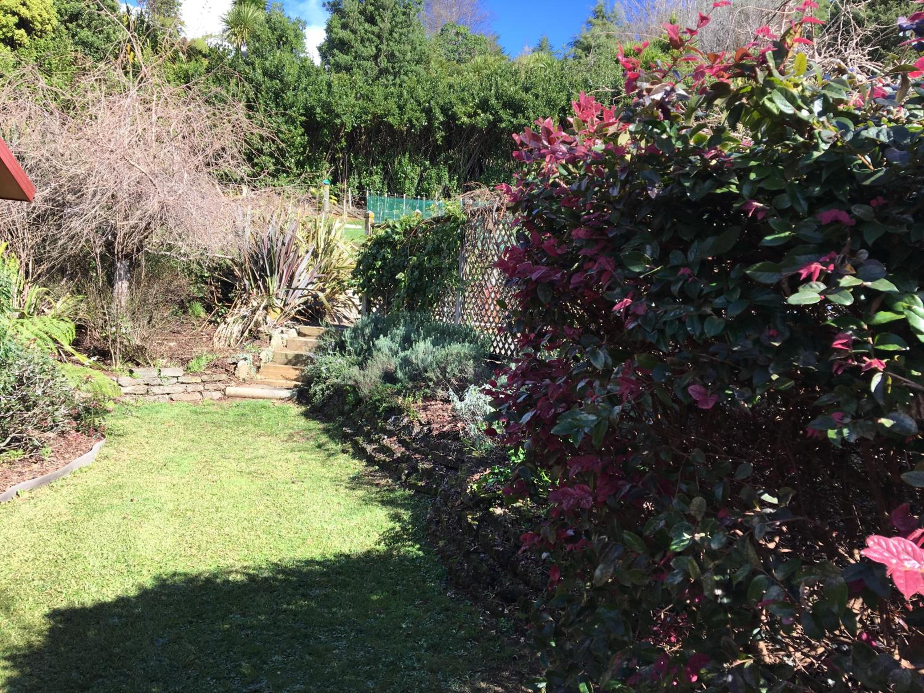 Photo 17