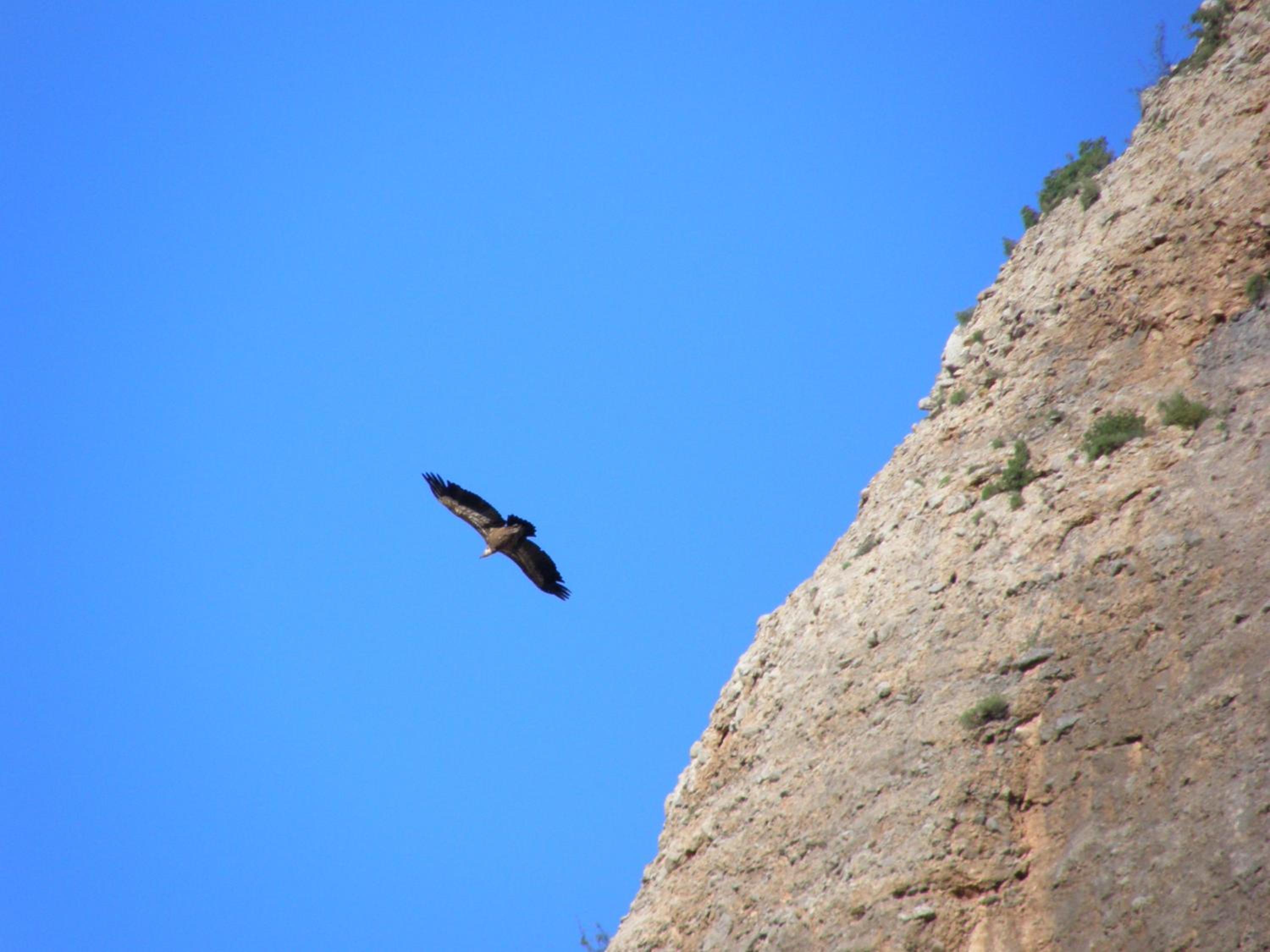 Photo 47