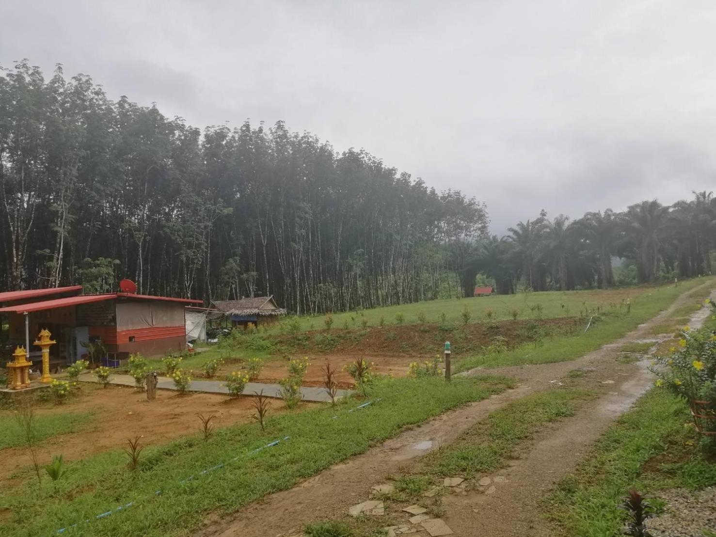 Khao Sok Evergreen House