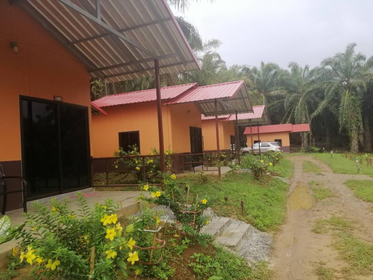 Khao Sok Evergreen House