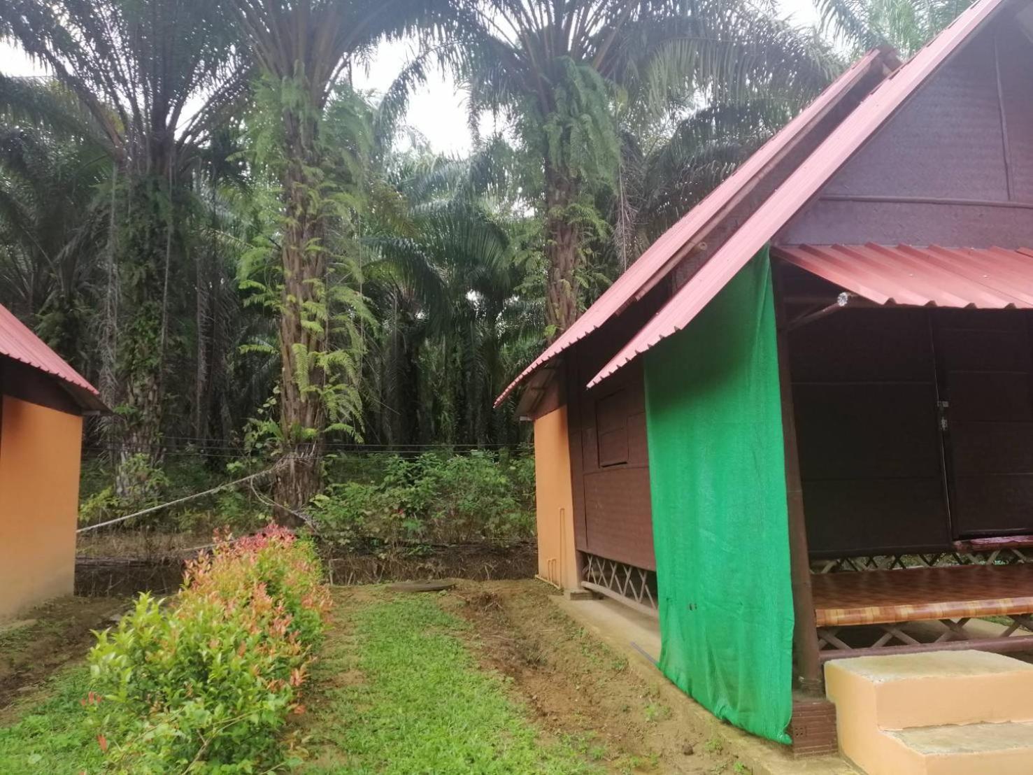 Khao Sok Evergreen House