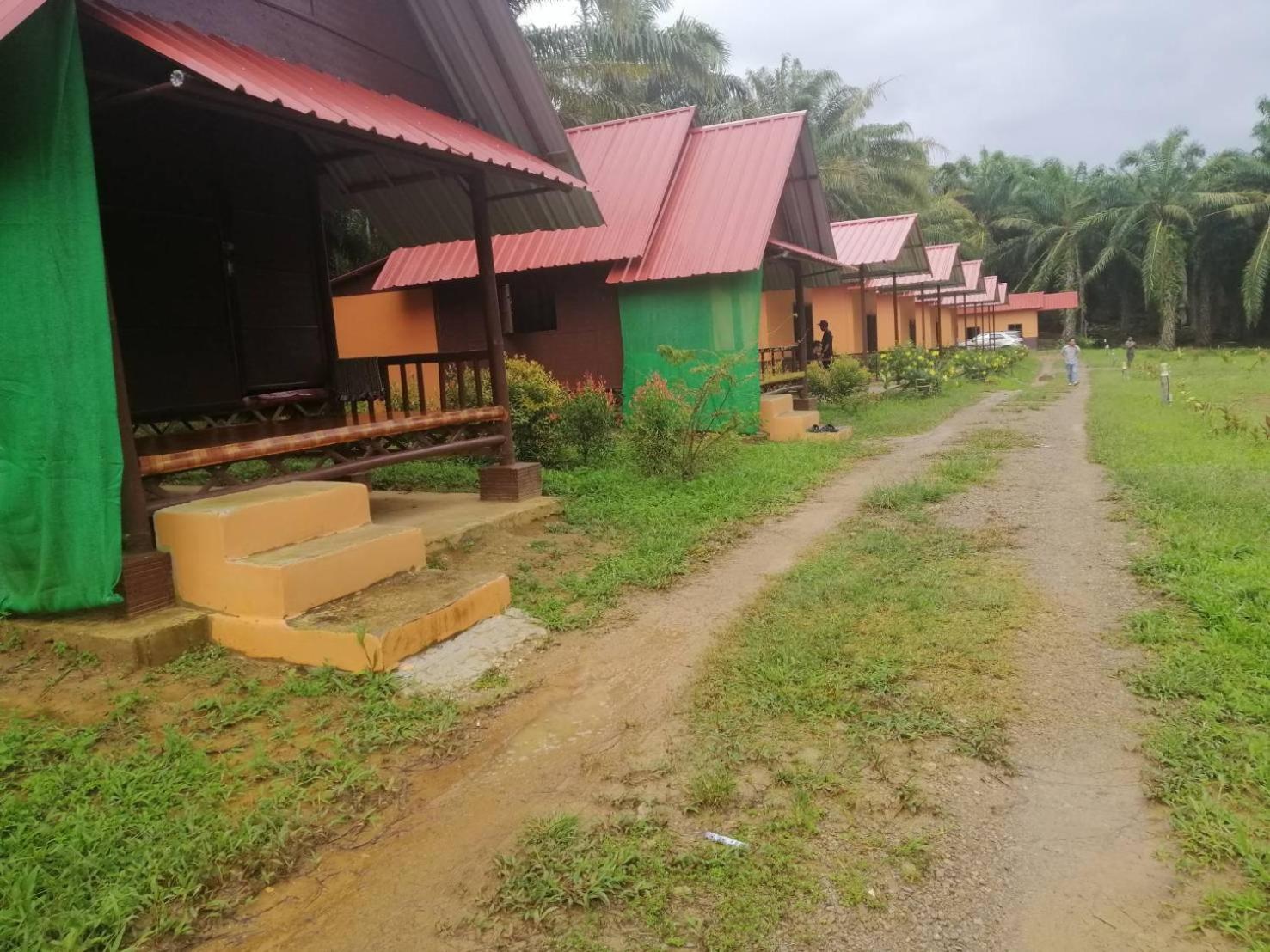 Khao Sok Evergreen House
