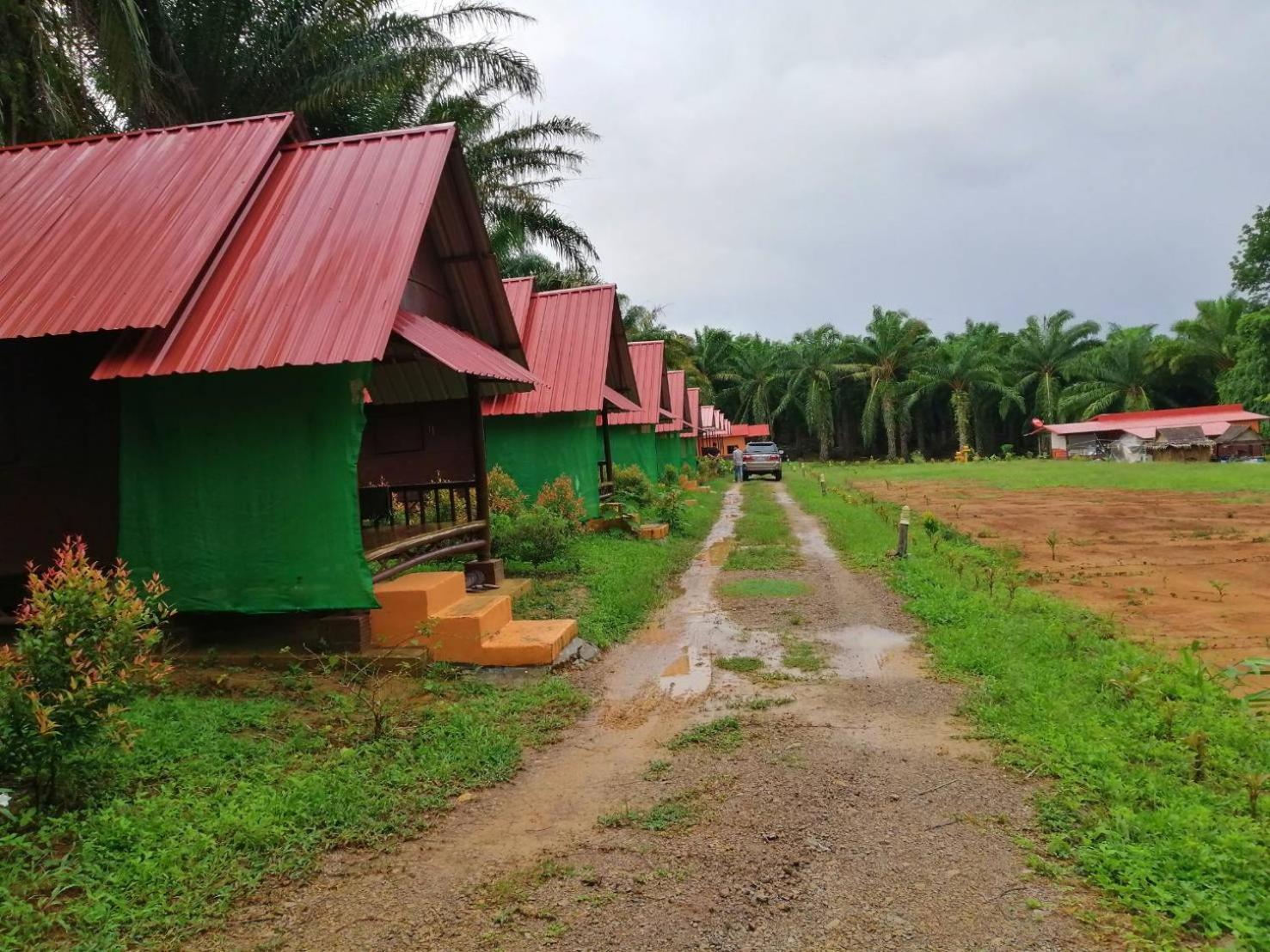 Khao Sok Evergreen House