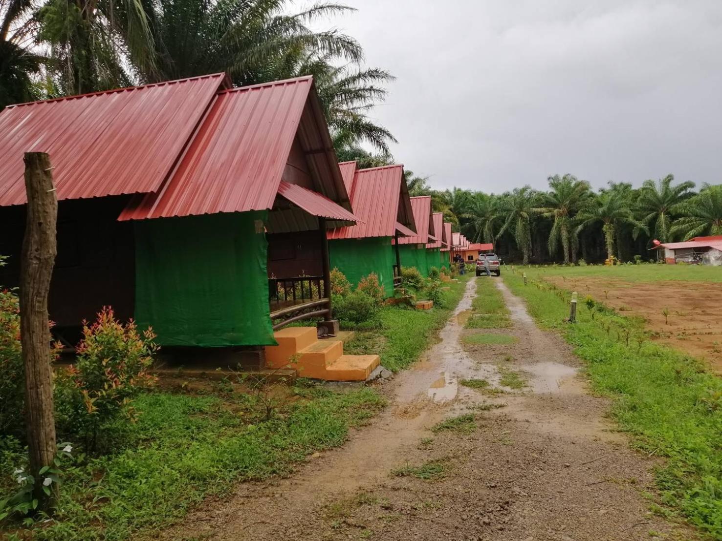Khao Sok Evergreen House