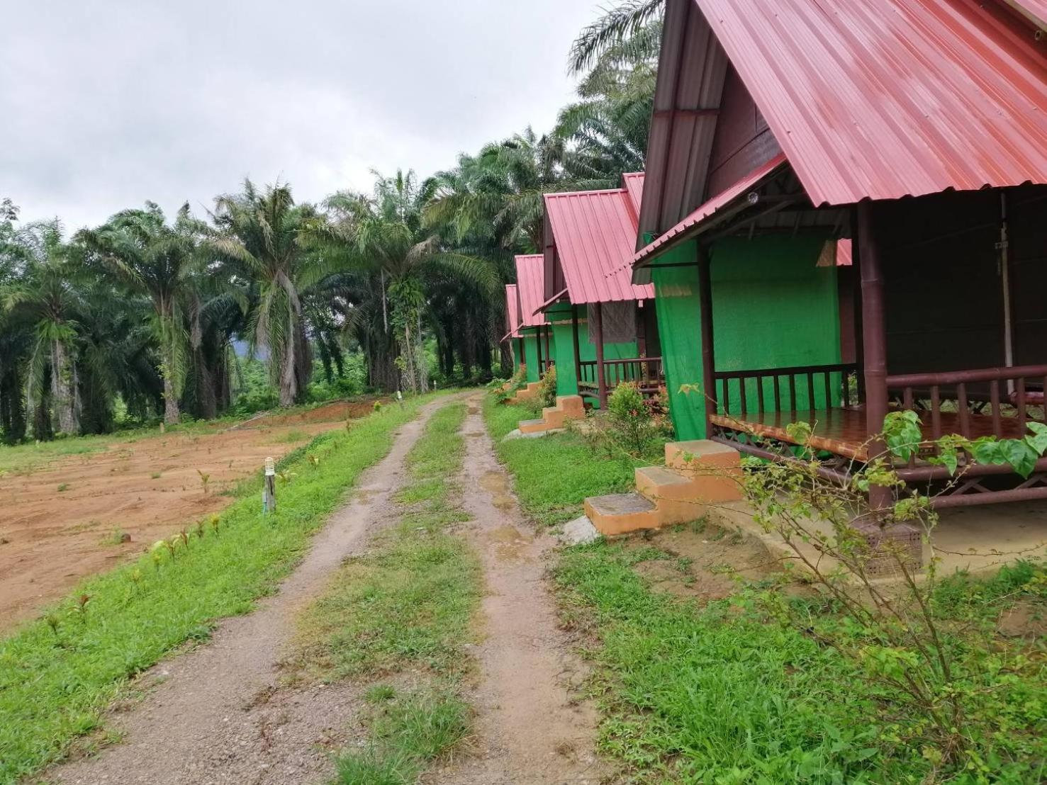 Khao Sok Evergreen House