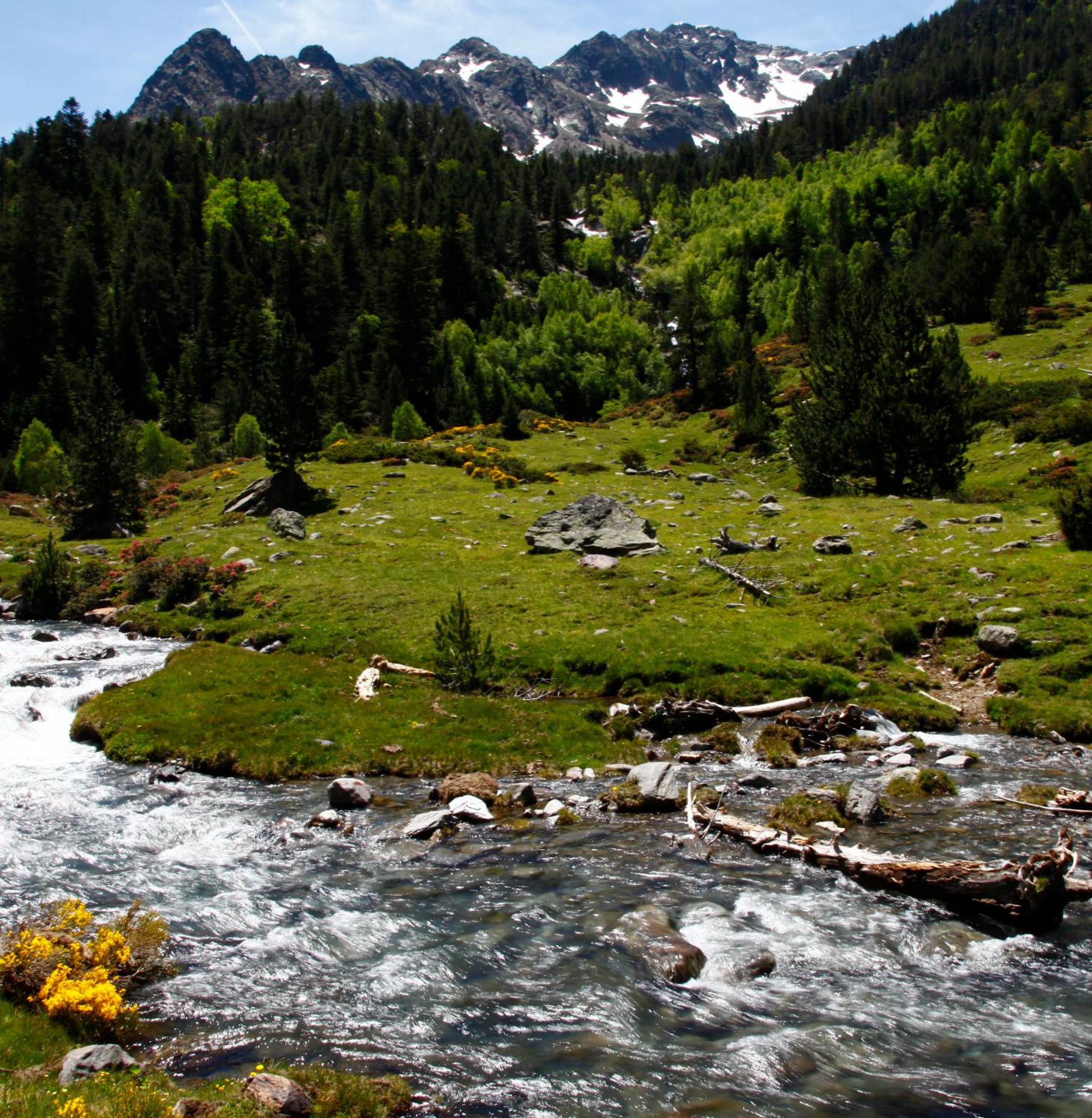 Apartaments Vall Ferrera