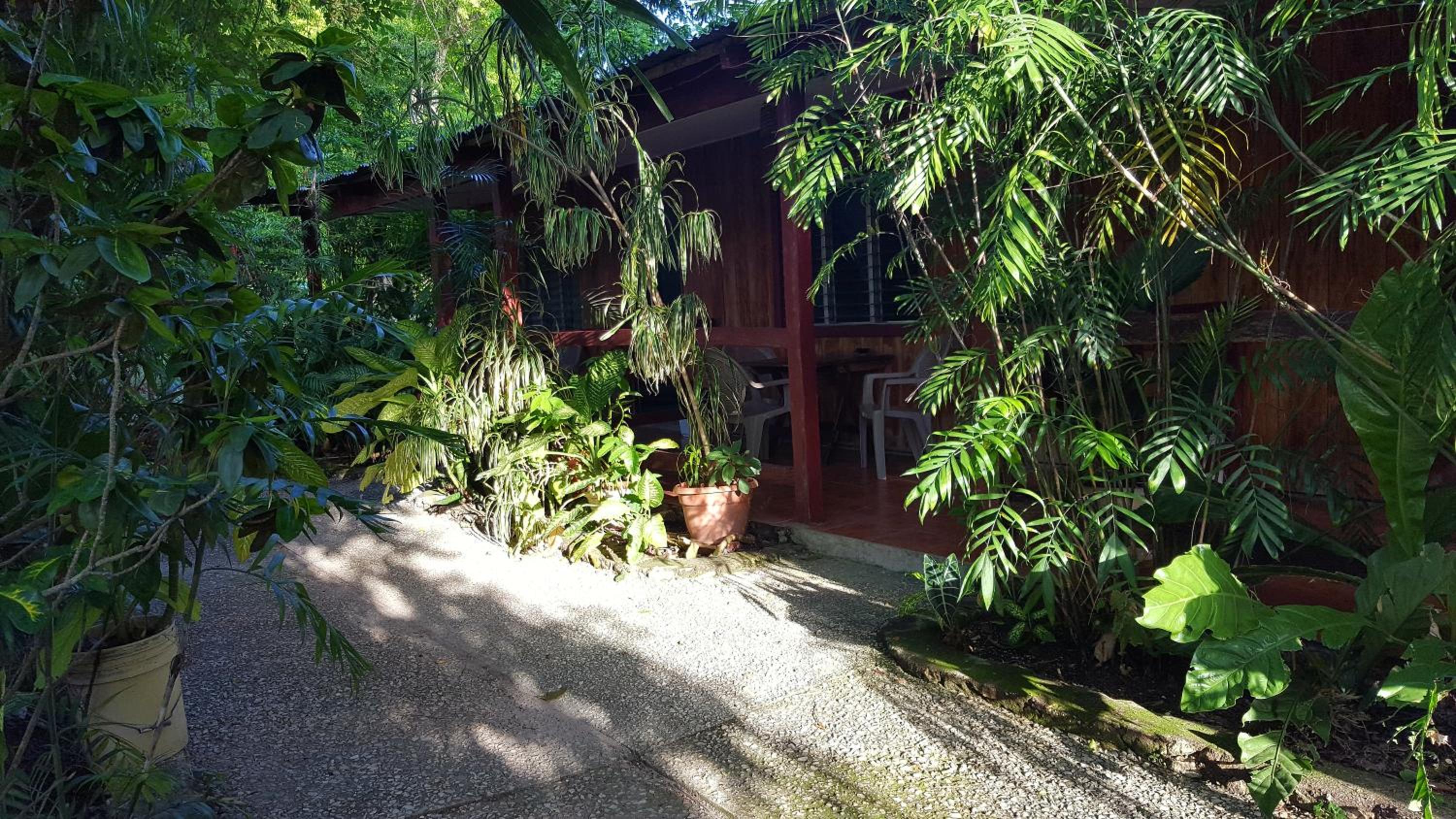 Guest house Posada Ixchel view 3