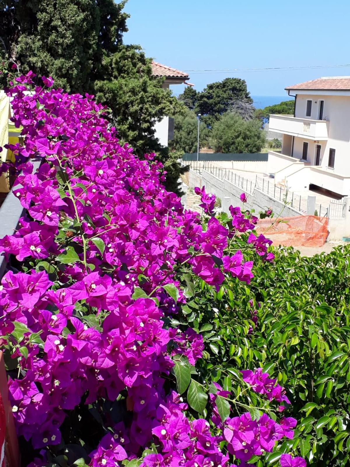 B&B Villa Regina