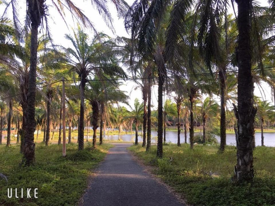 PALM GARDEN HOUSE view 2