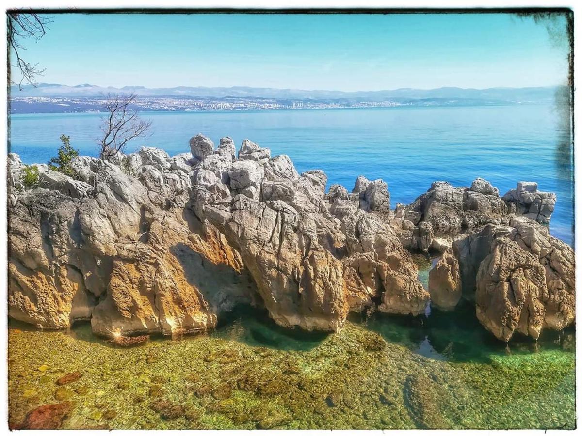 Apartman Ana view 4