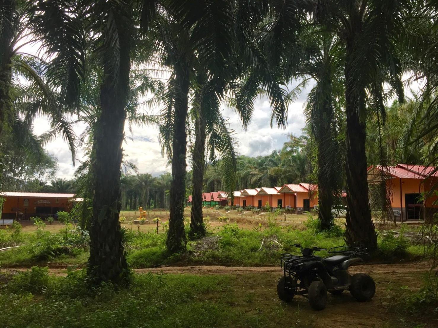 Khao Sok Evergreen House