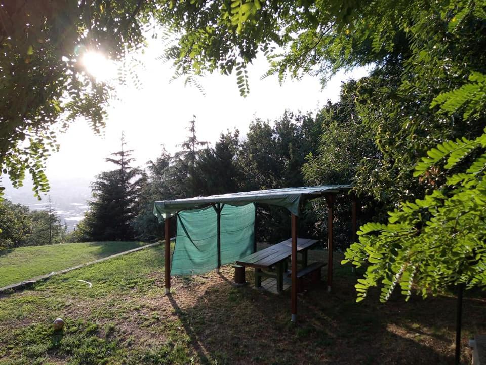 Photo 29