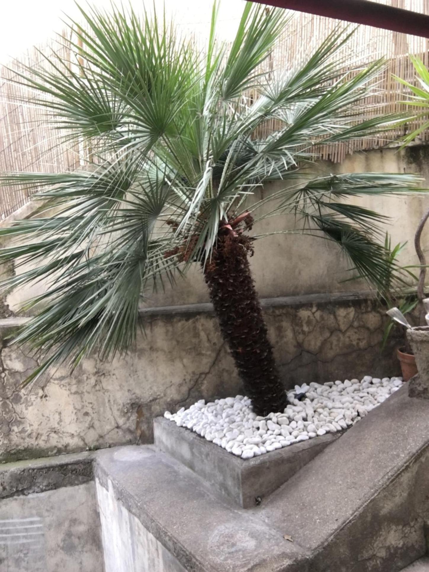 Nice Grand appartement face jardin photo 4