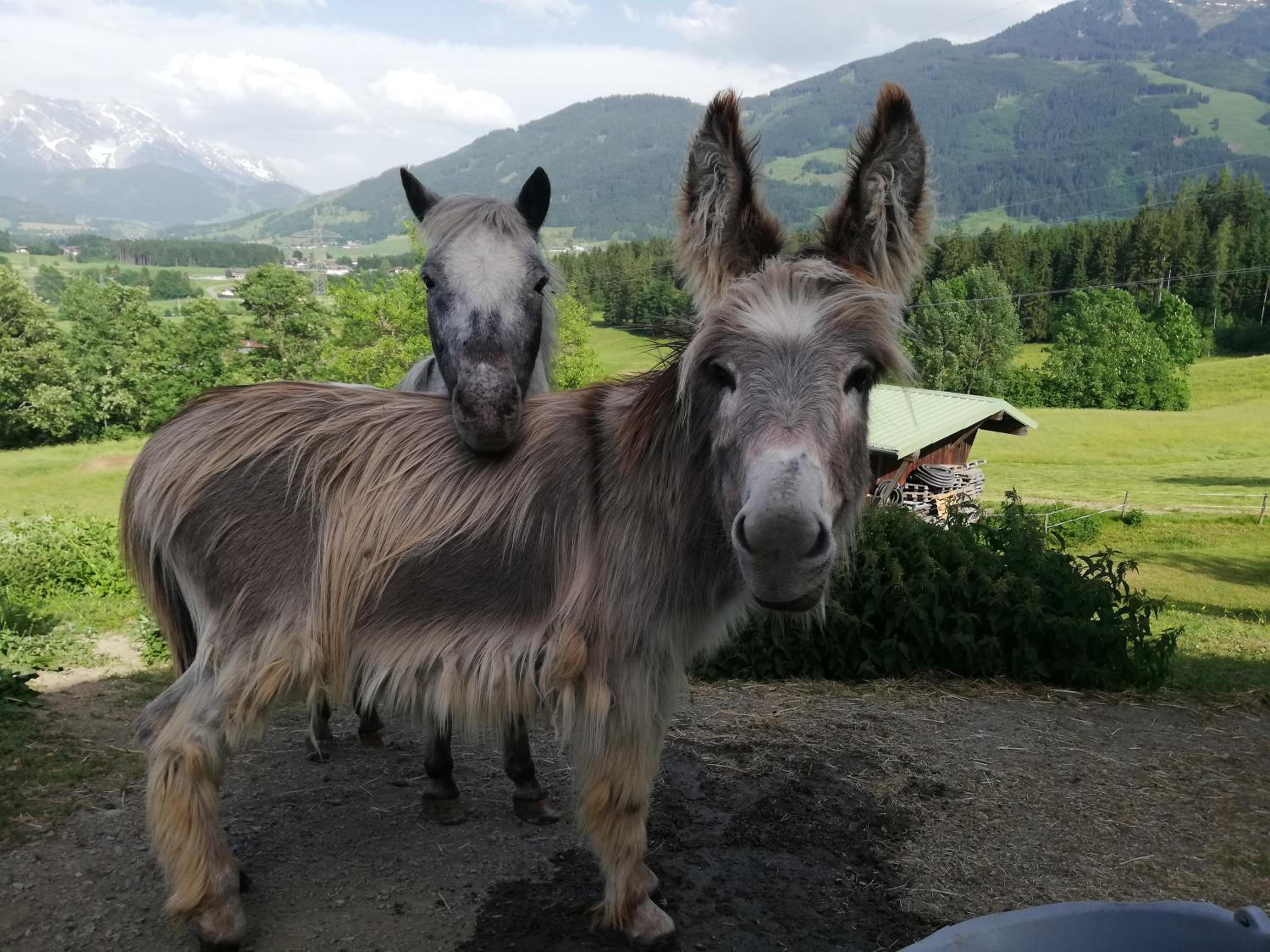 Oberstockinghof