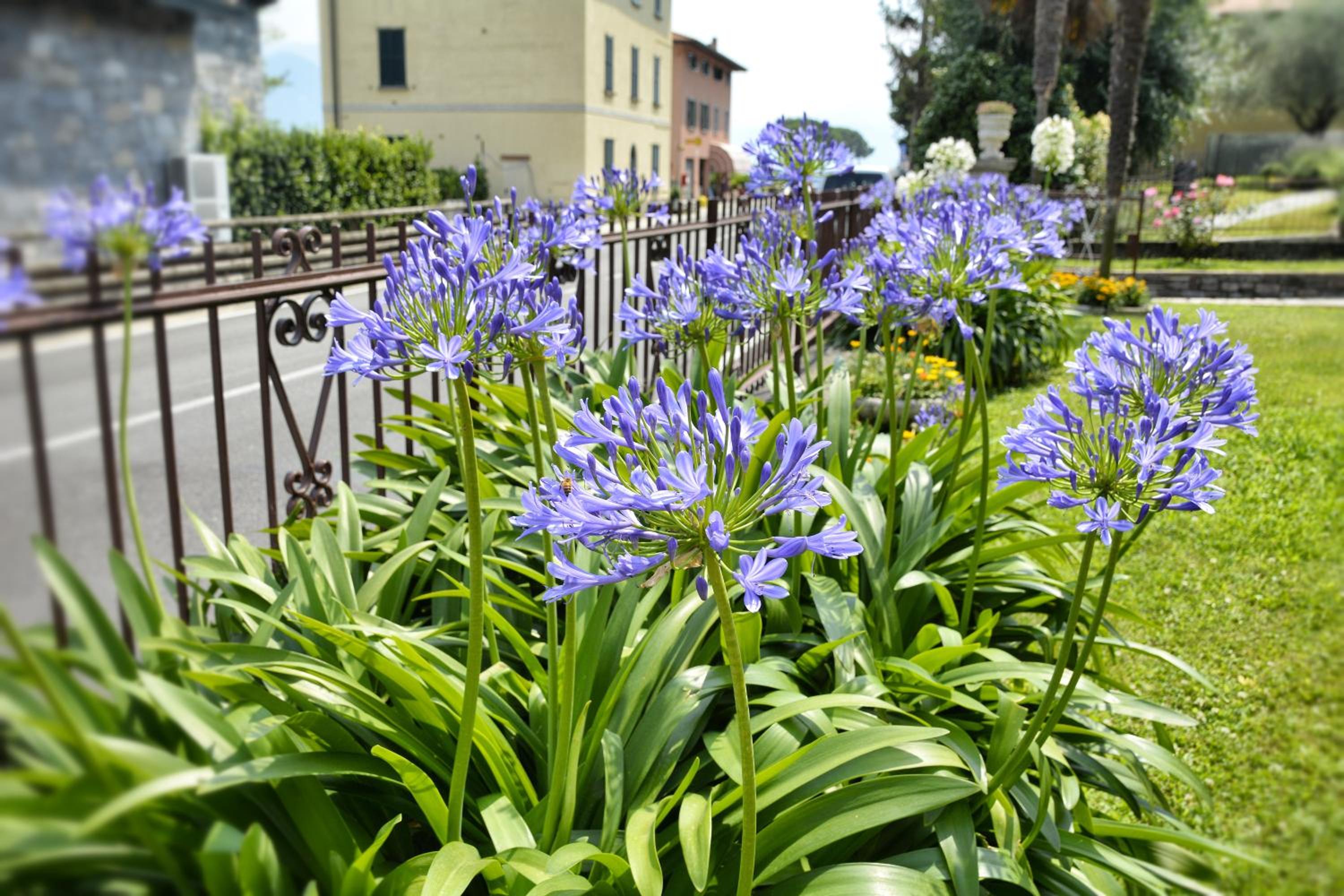 Casa Giardino fiorito view 4