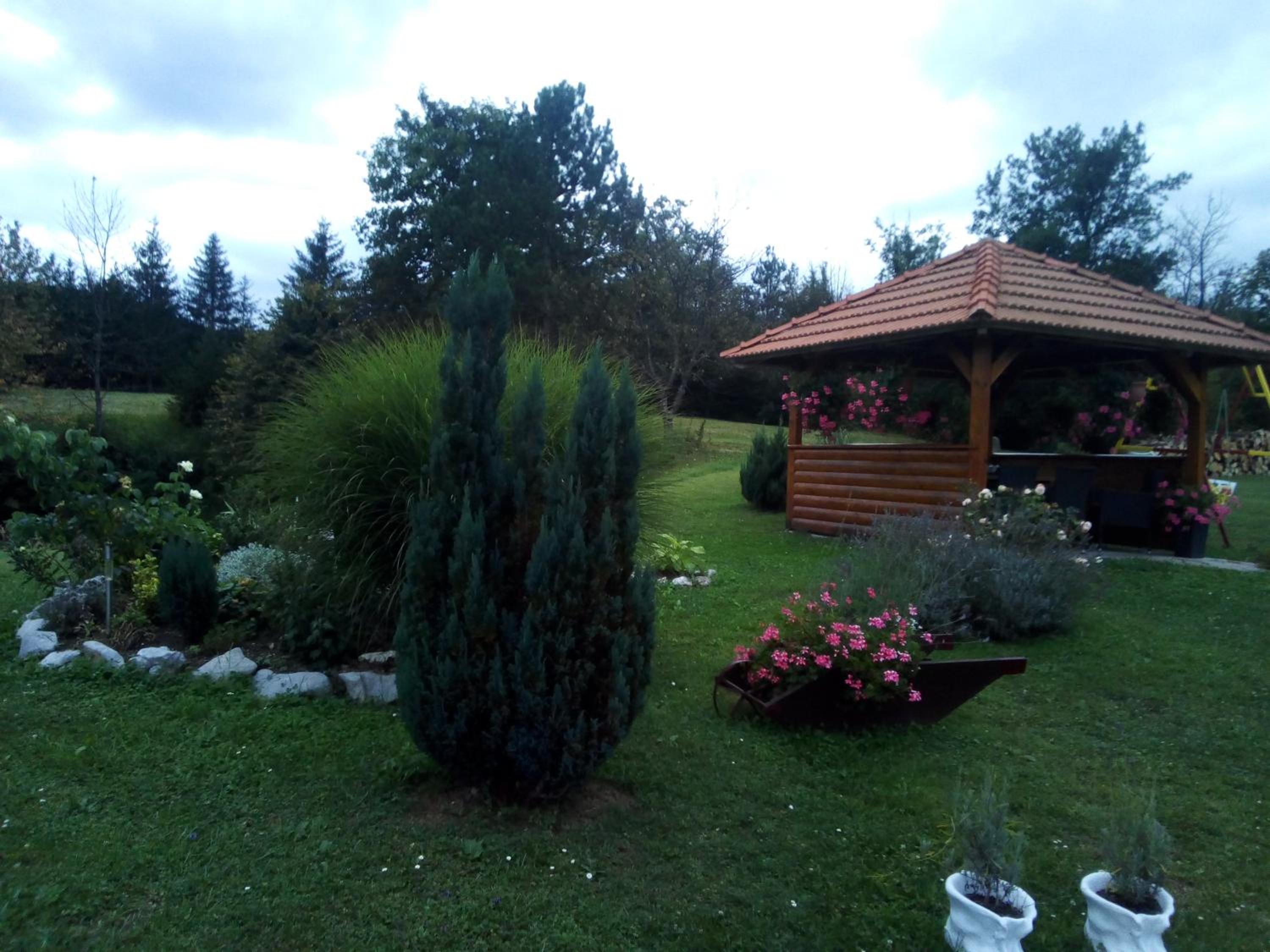 Photo 6