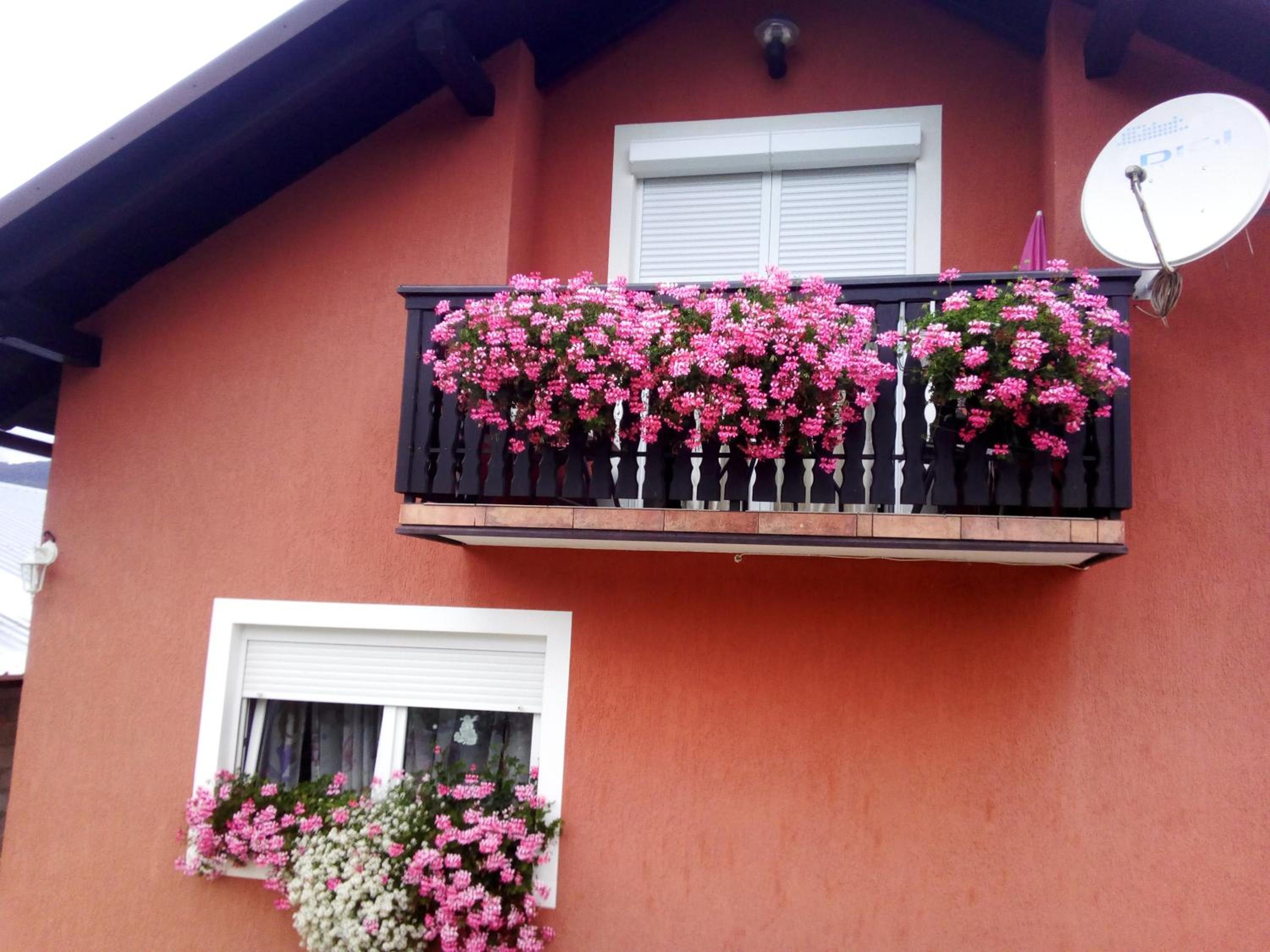 Nika view 5