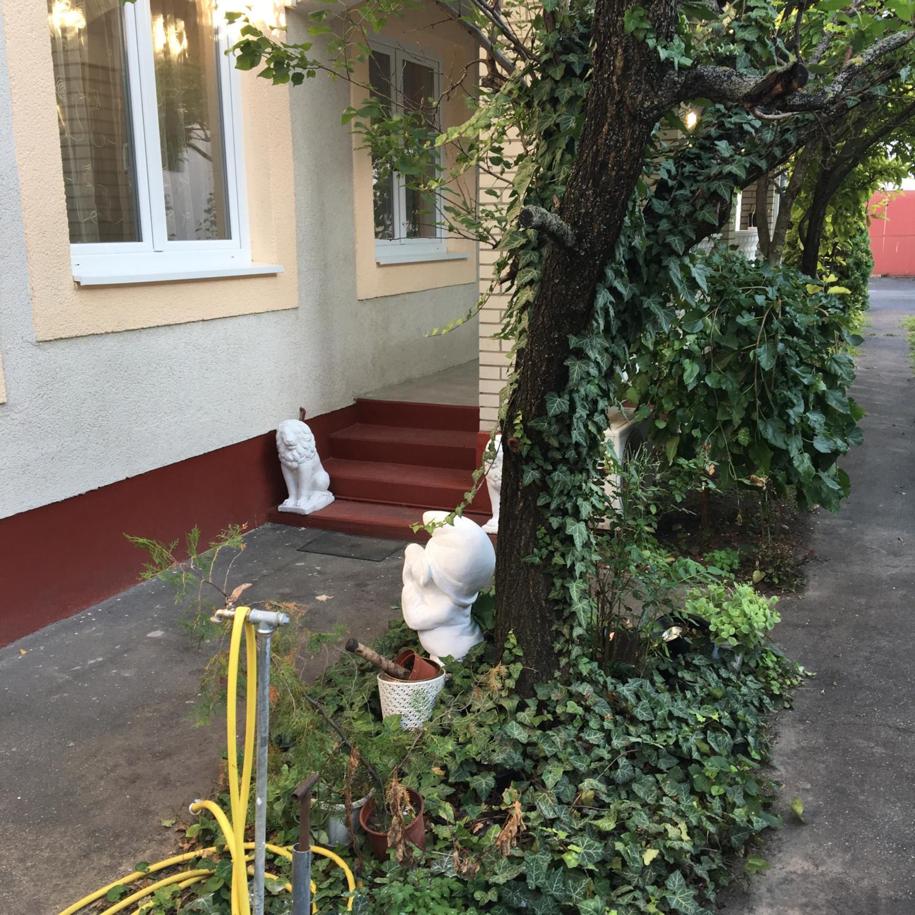 Photo 28