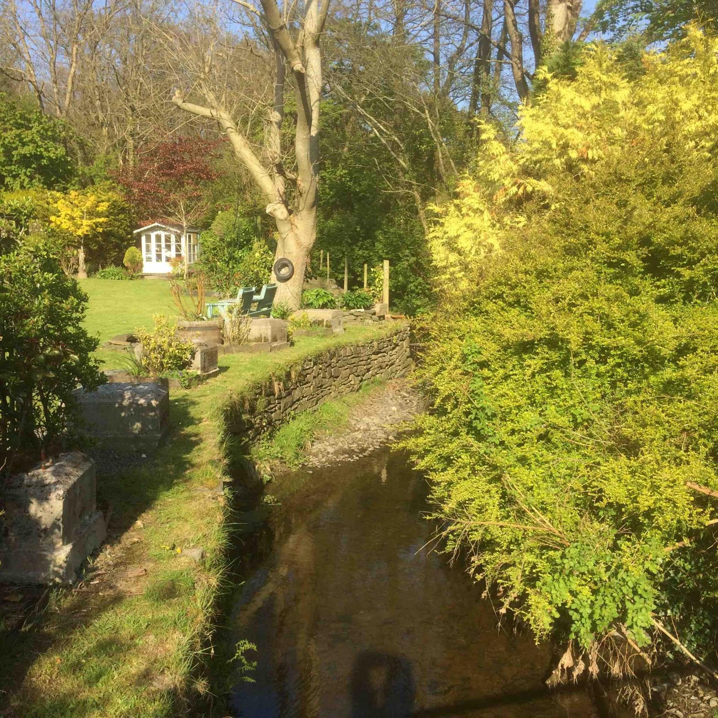 Photo 41