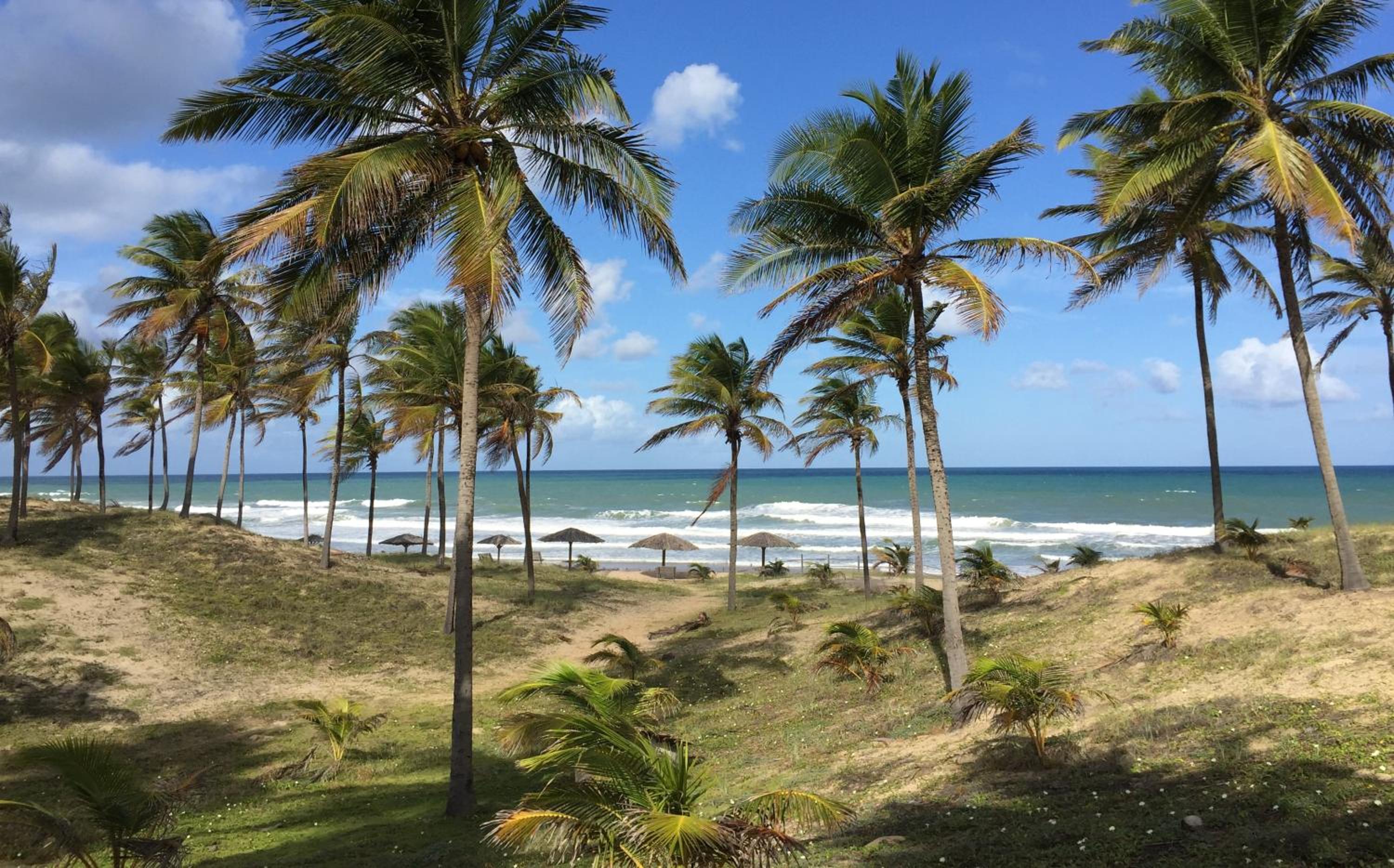 Mansão na praia 5 suites em Sitio do Conde Aluguel Temporada