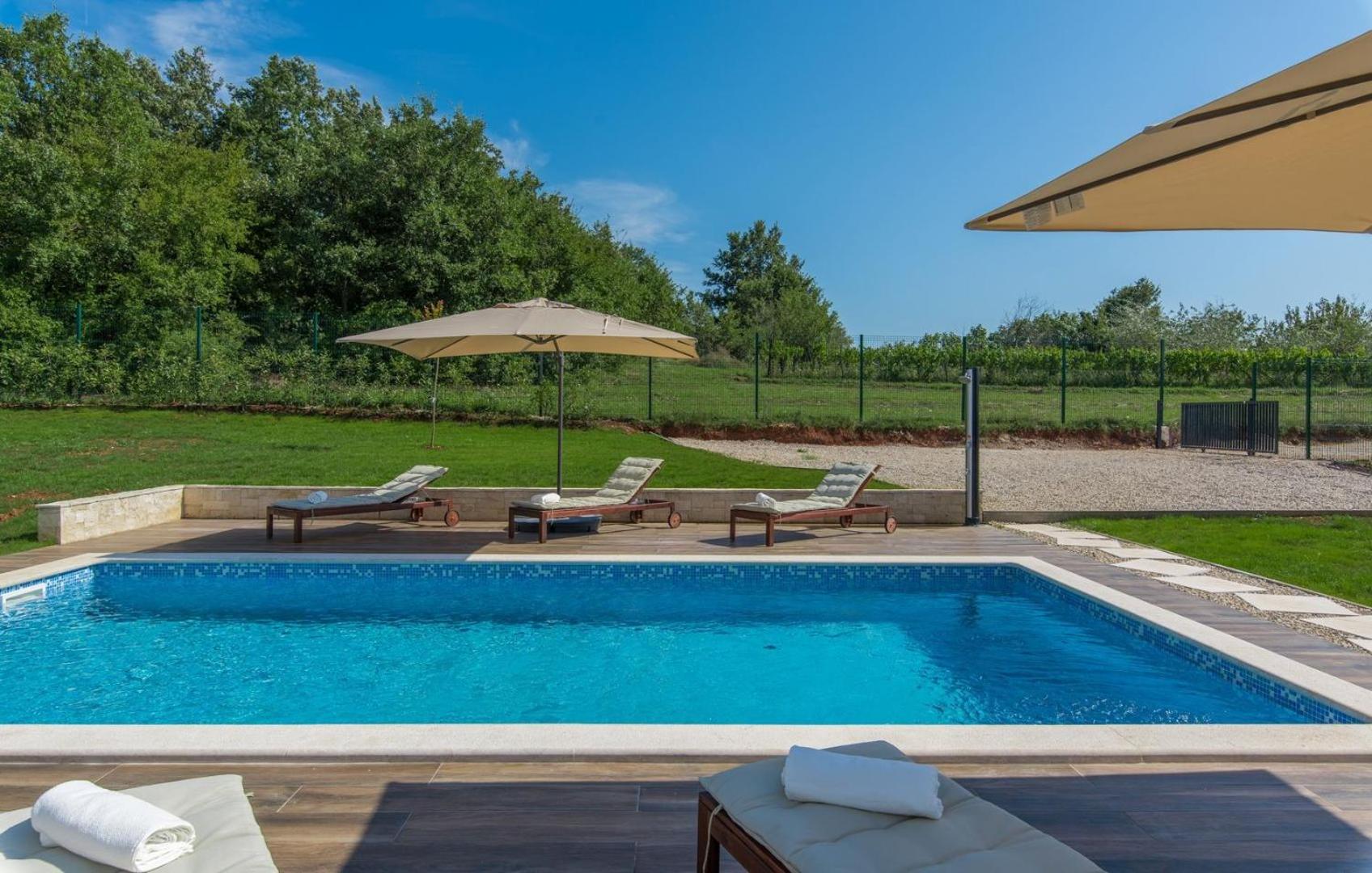 Luxury villa Fratello in Istria, private pool